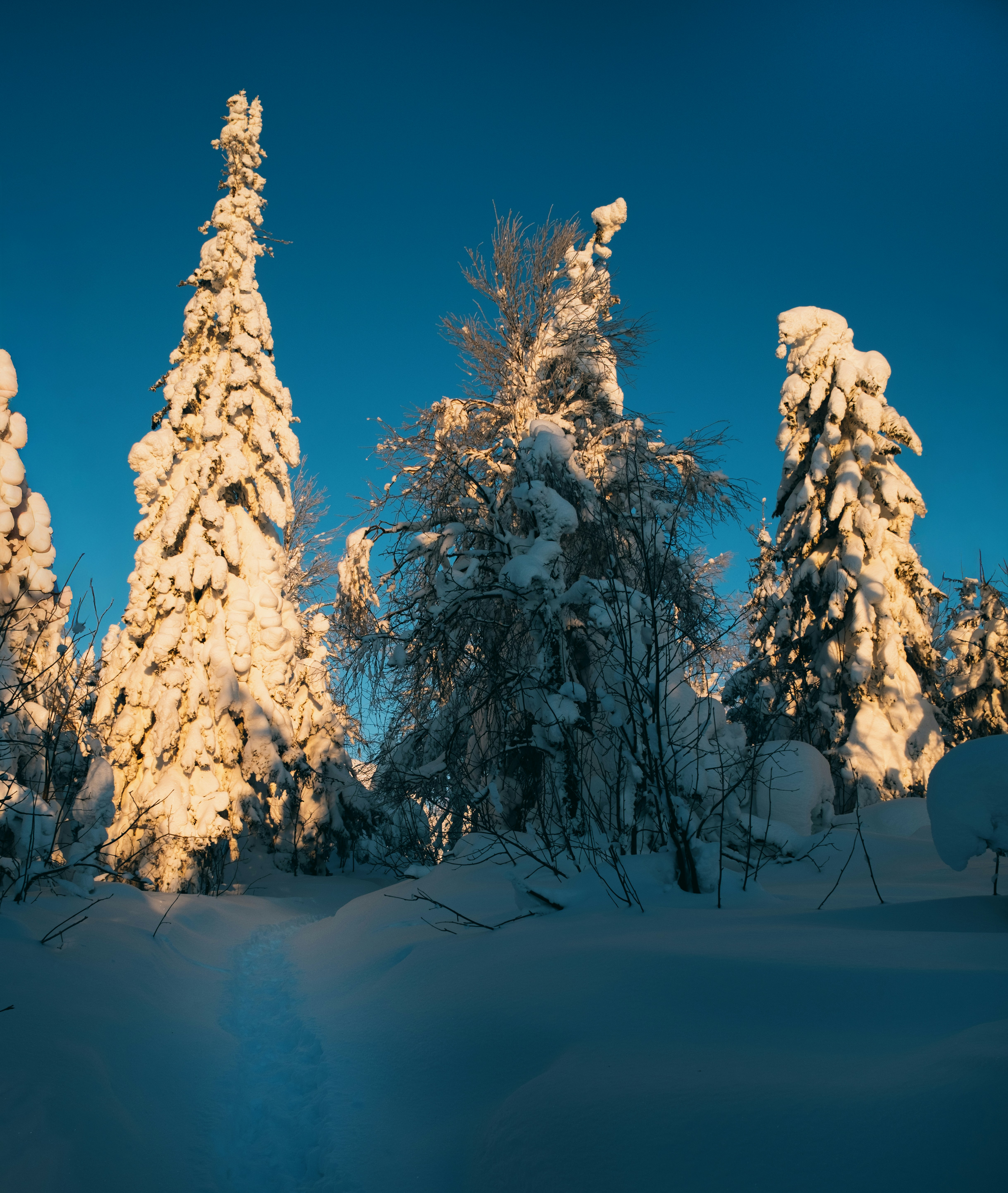 Photo by evil_bumblebee