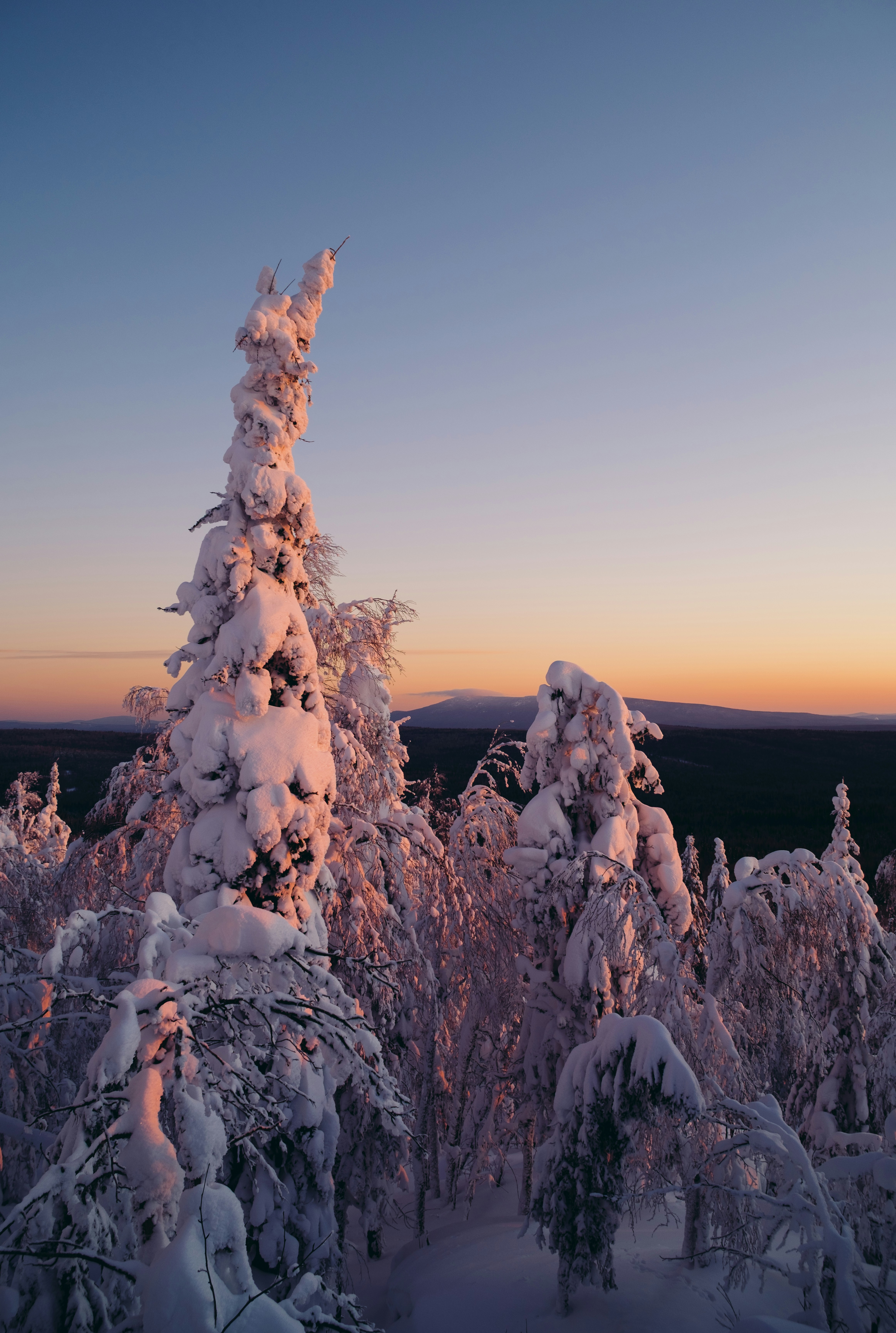 Photo by evil_bumblebee