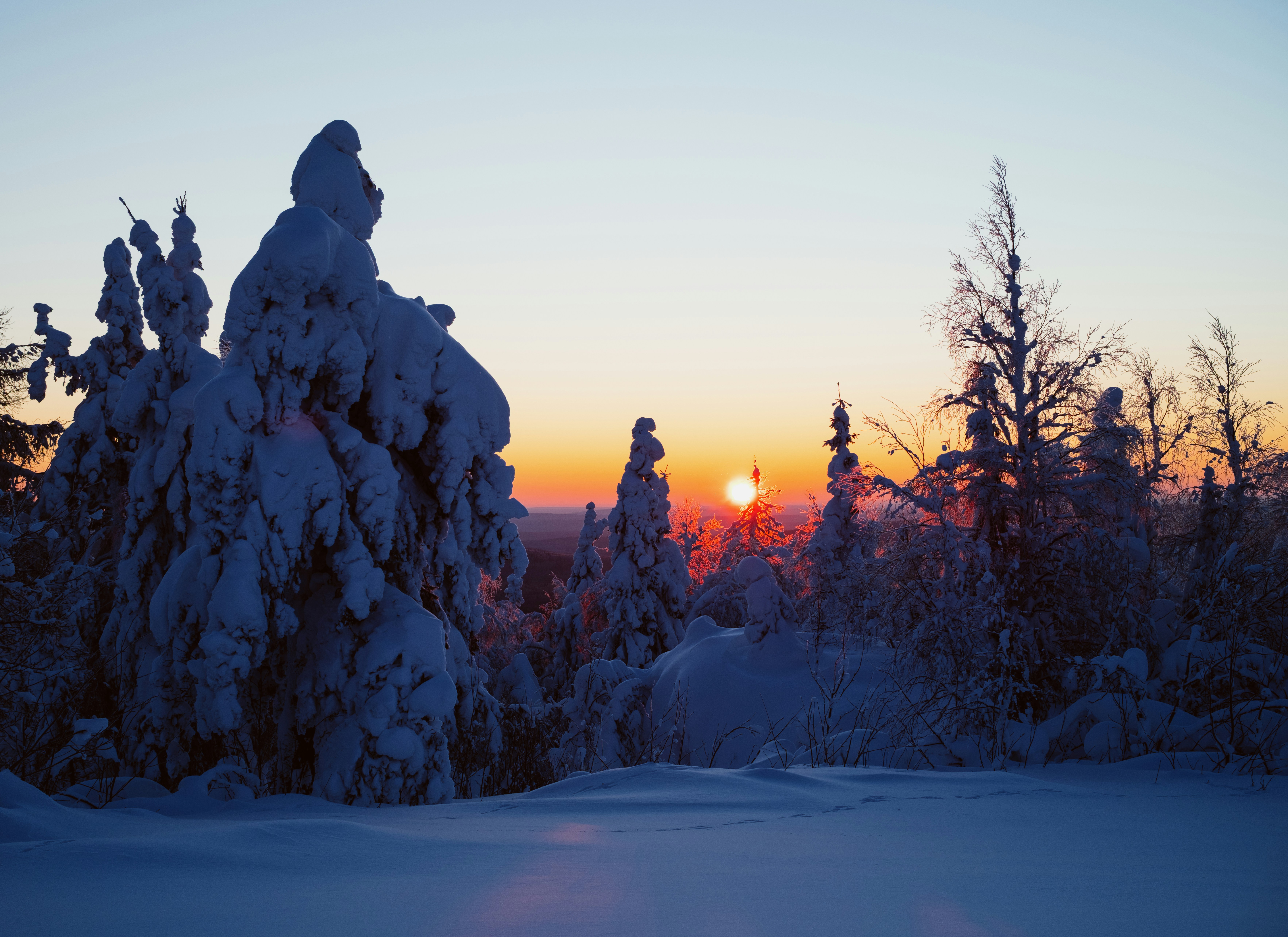 Photo by evil_bumblebee