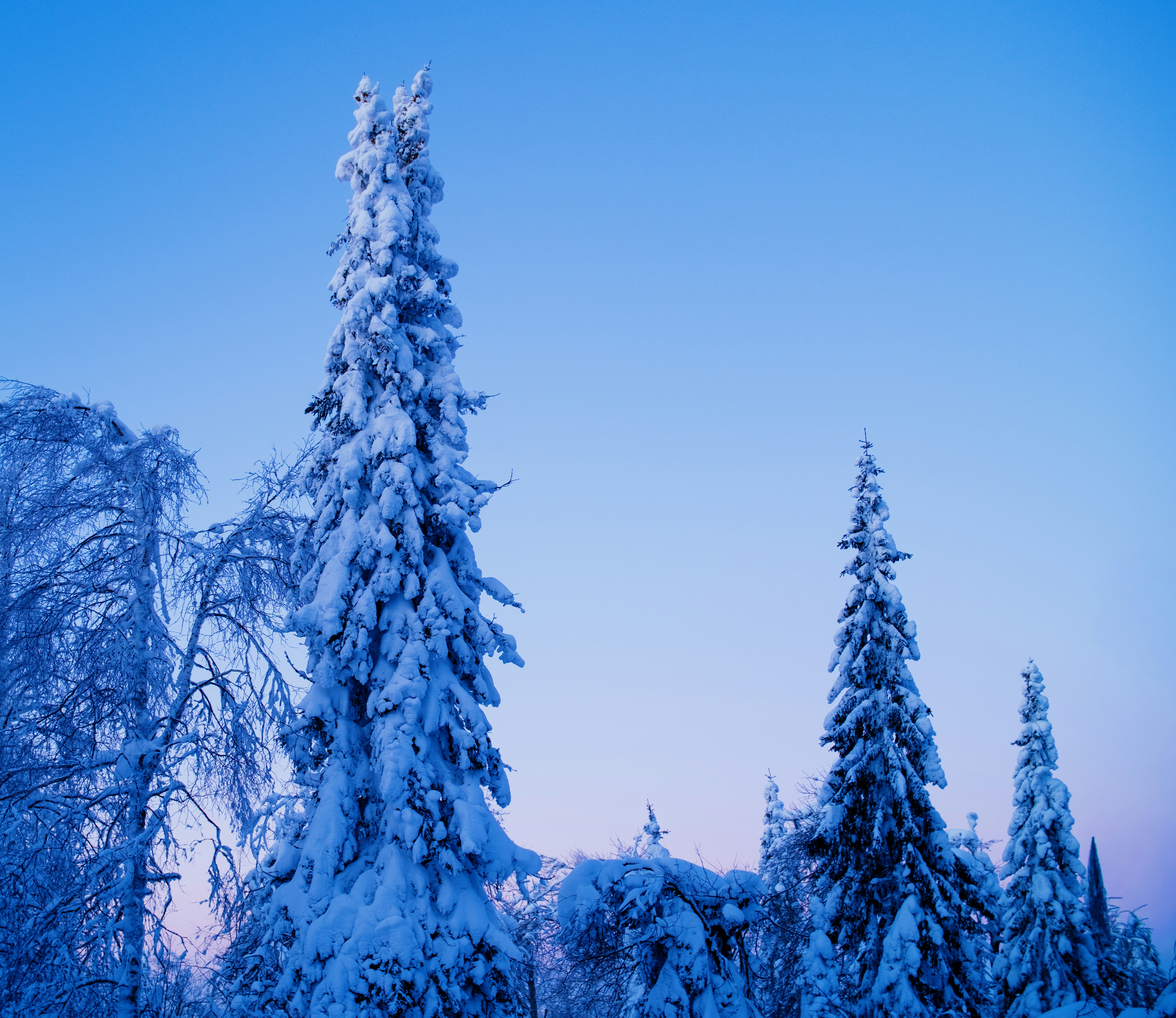 Photo by evil_bumblebee