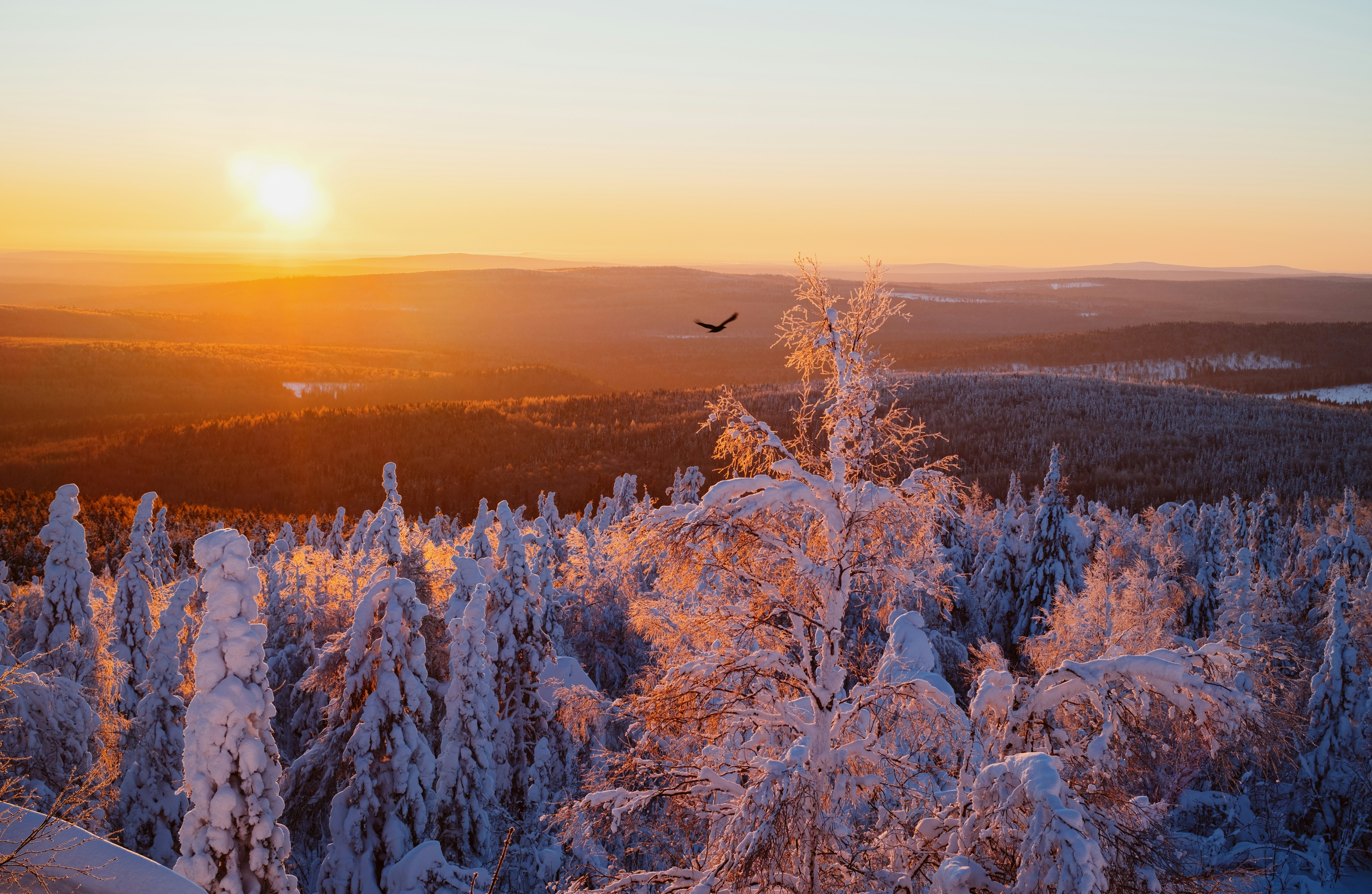 Photo by evil_bumblebee