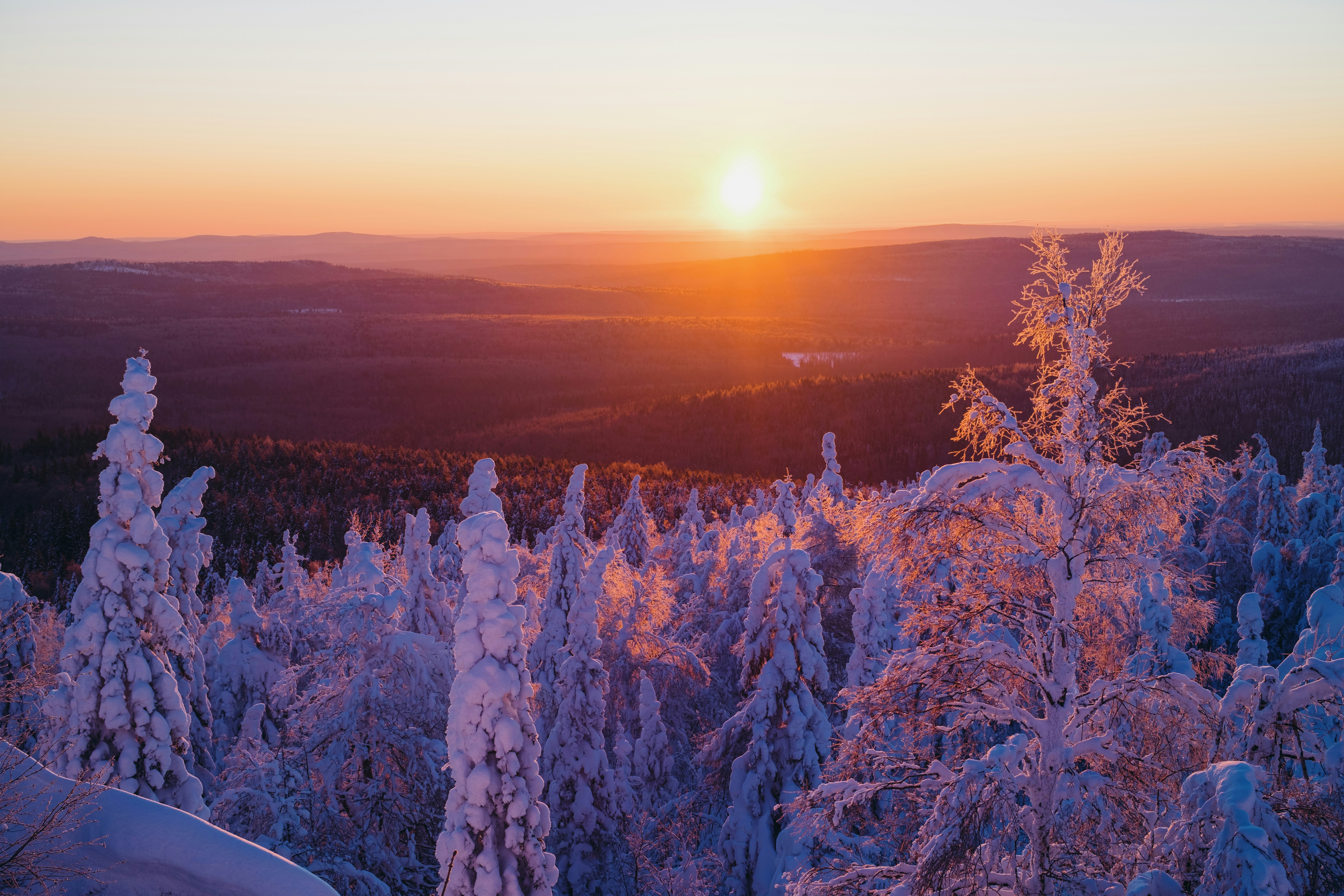 Photo by evil_bumblebee