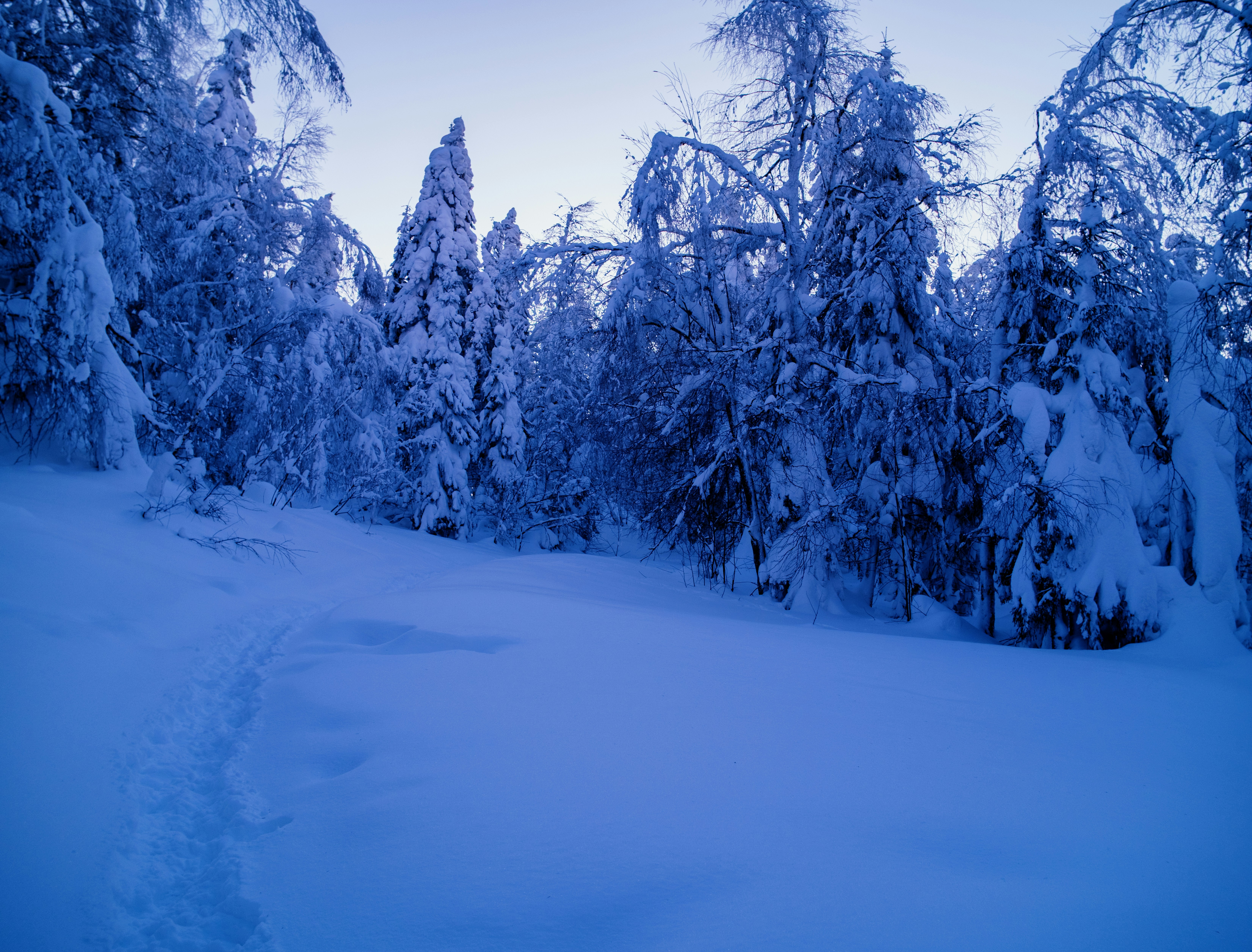 Photo by evil_bumblebee