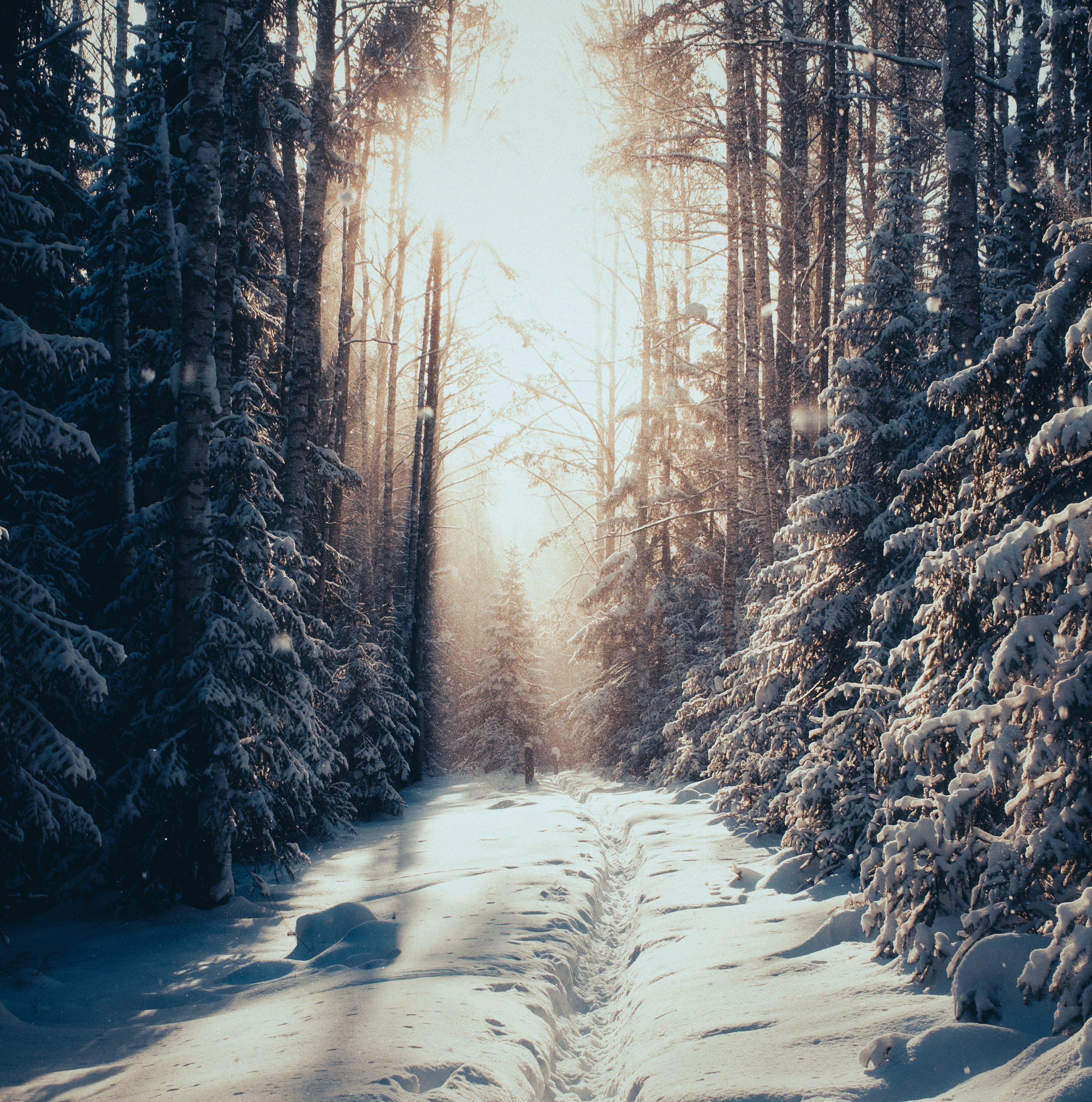 Photo by evil_bumblebee