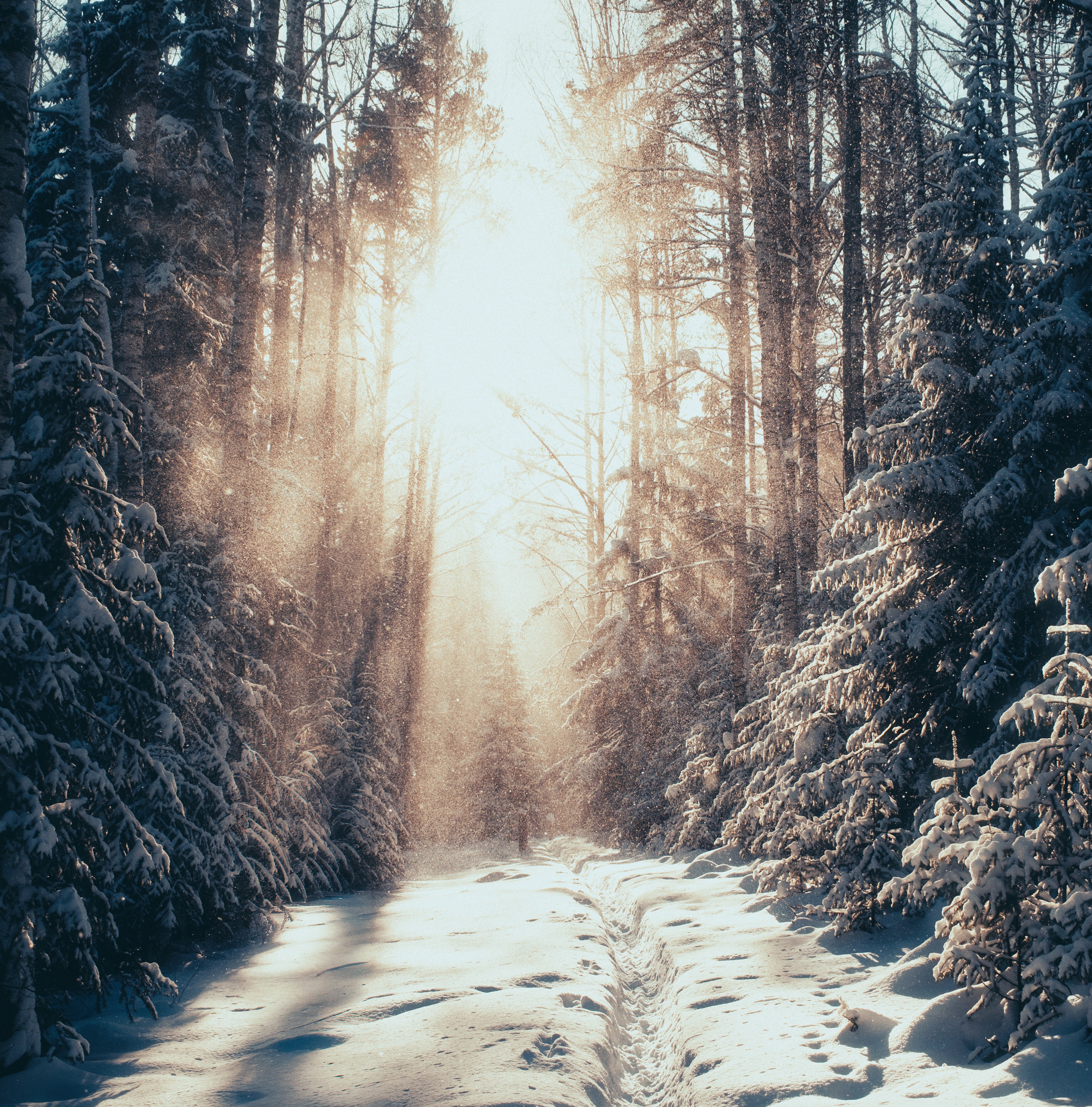 Photo by evil_bumblebee