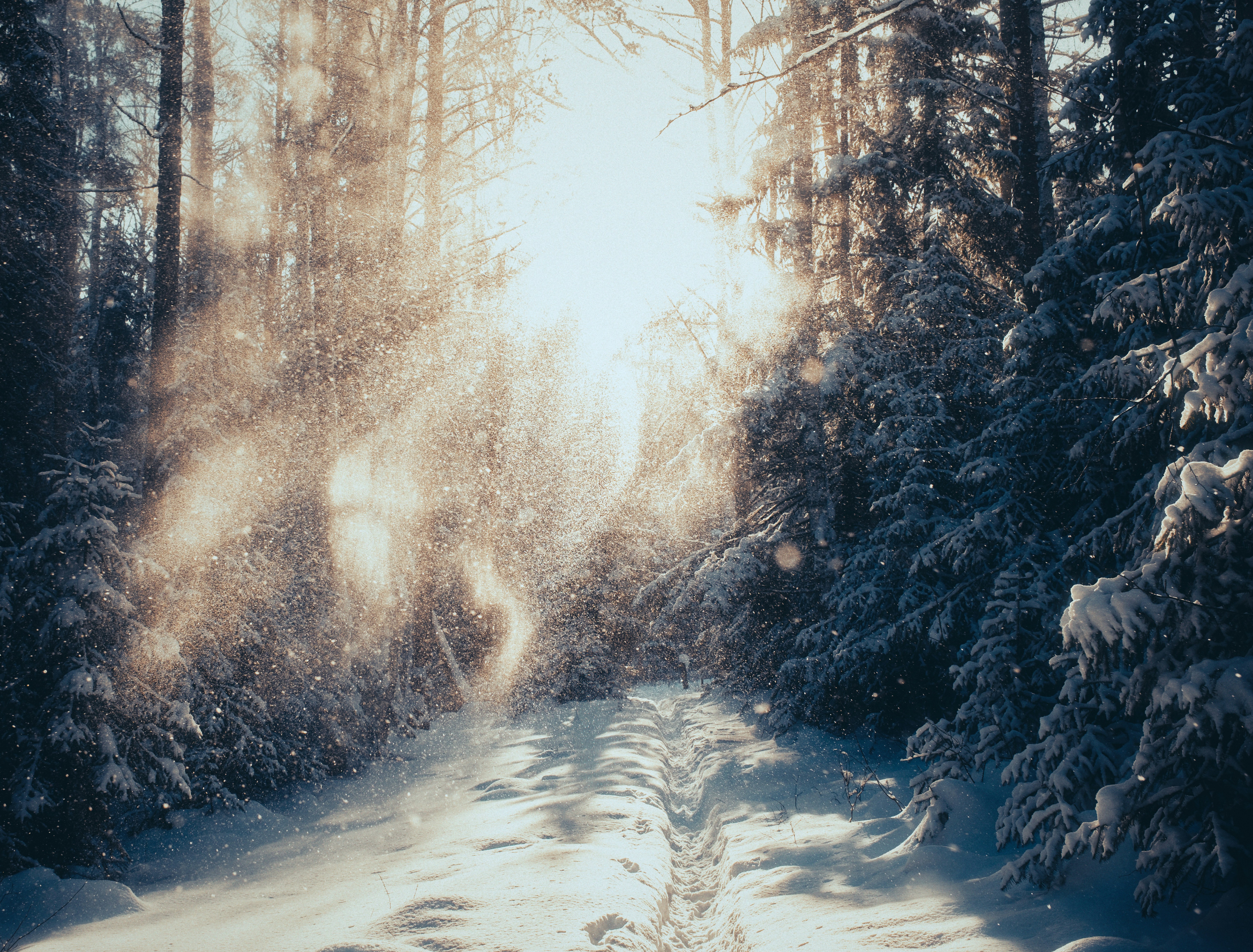 Photo by evil_bumblebee