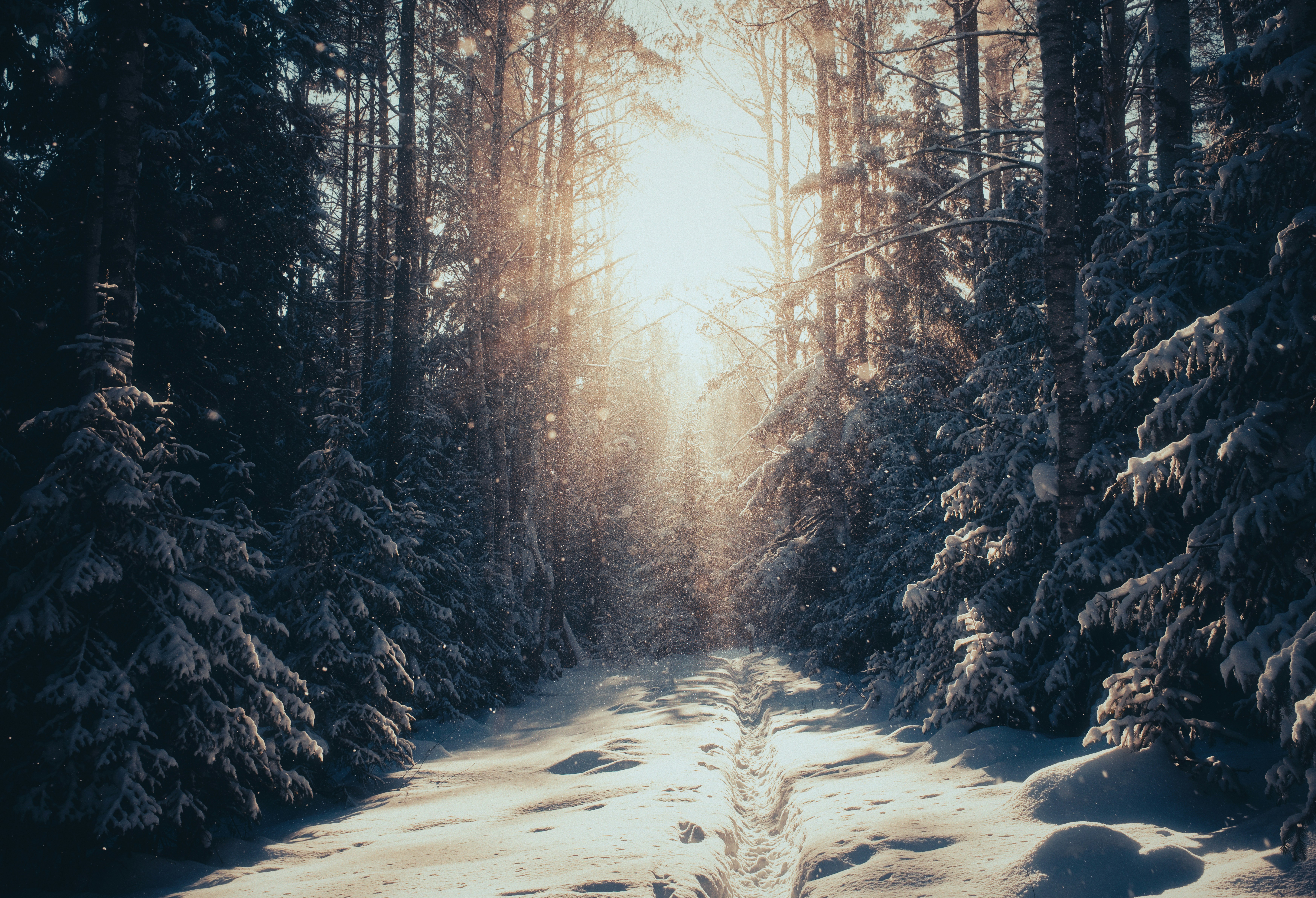 Photo by evil_bumblebee