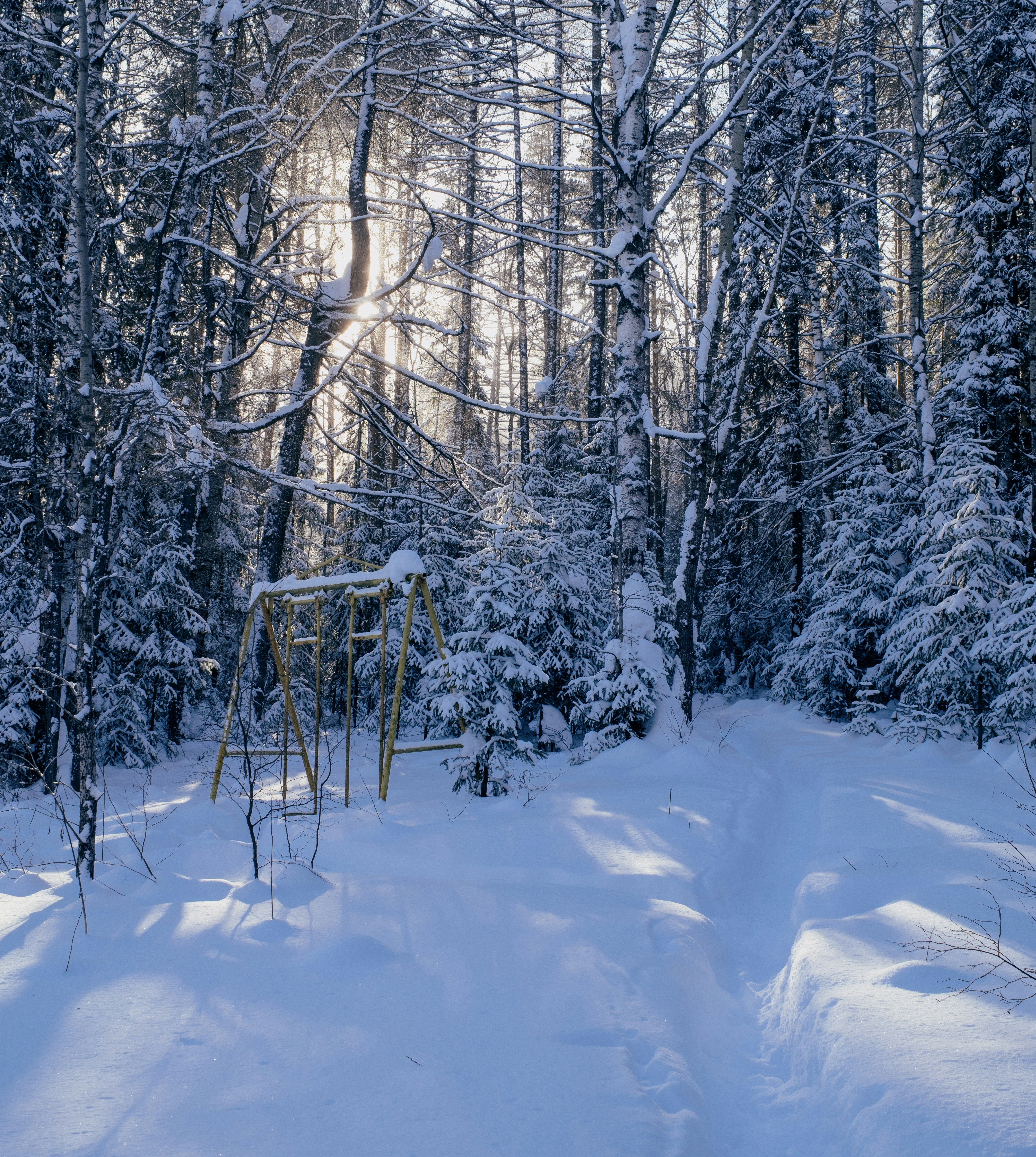 Photo by evil_bumblebee