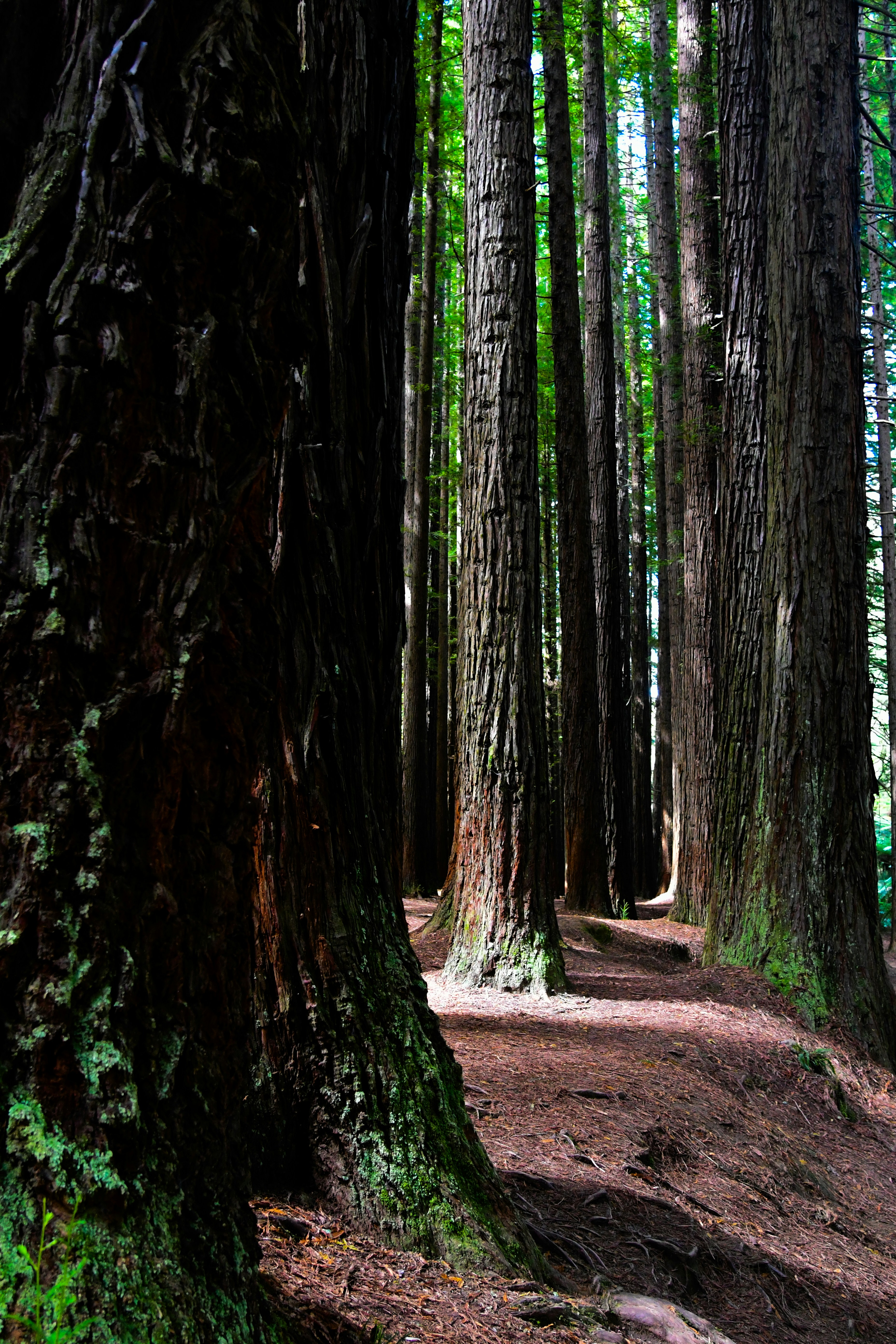 Photo by armandmckenzie