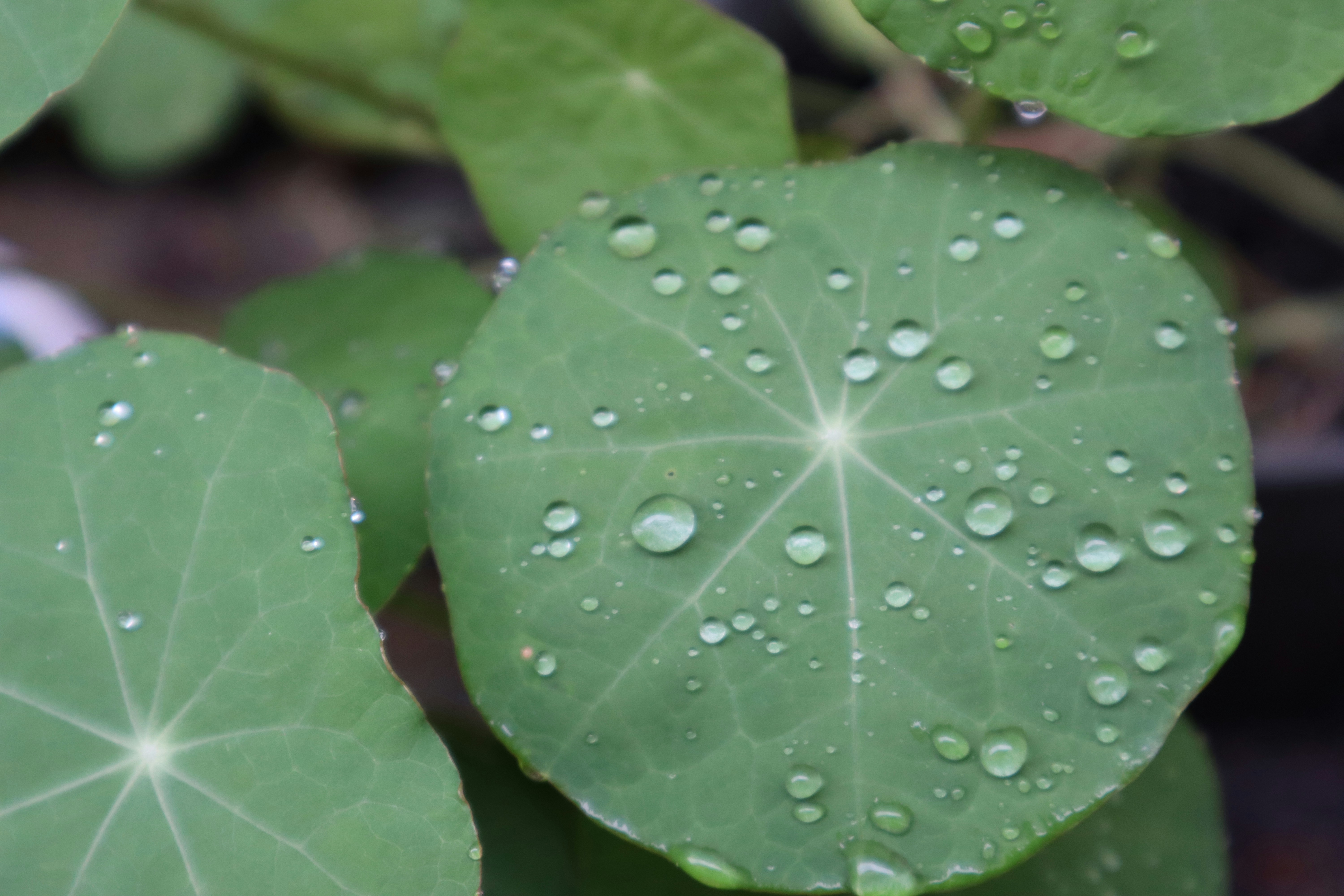 Photo by bajouncieloazul