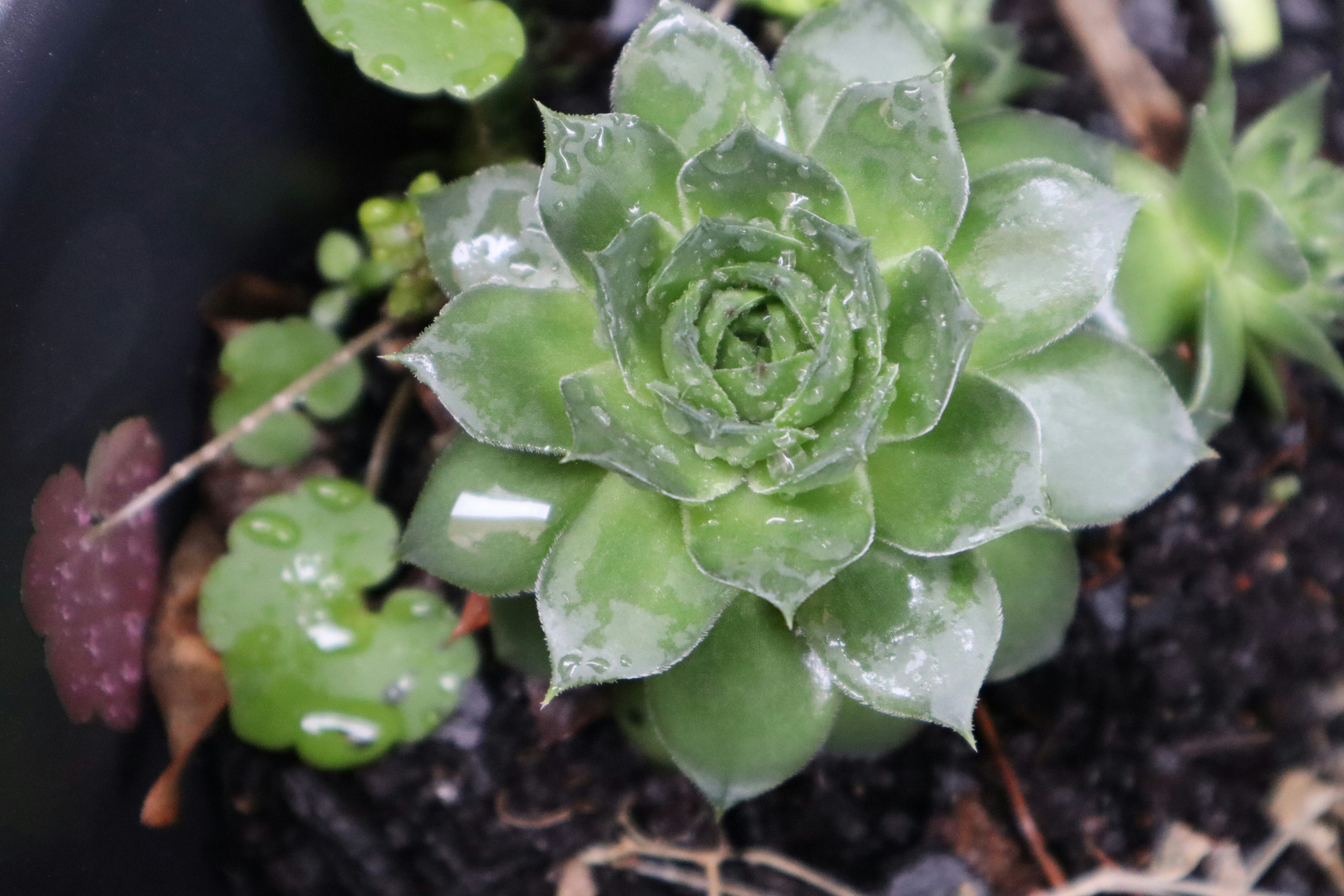 Photo by bajouncieloazul