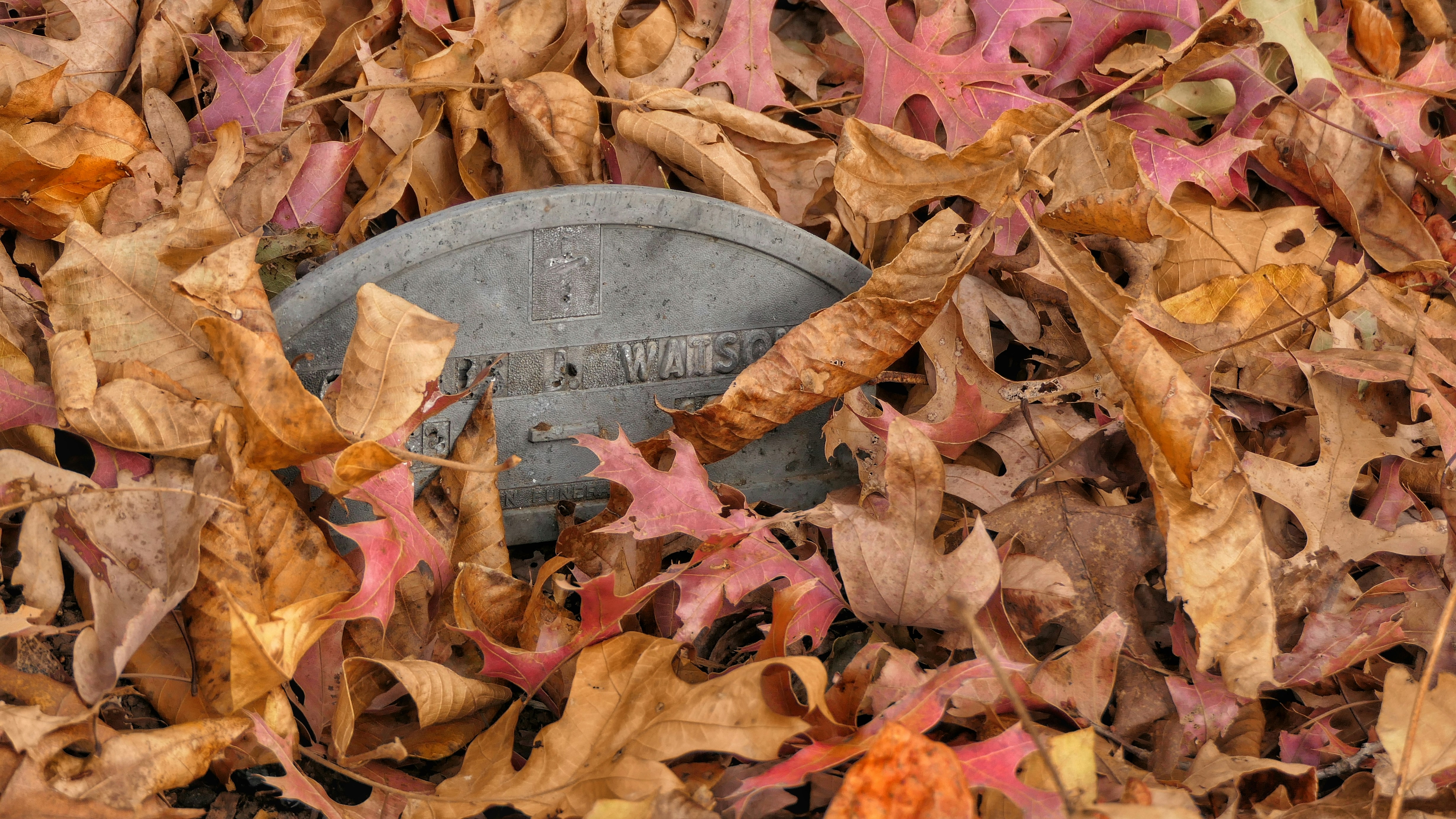 Grabstein, bedeckt mit gefallenen Herbstblättern,