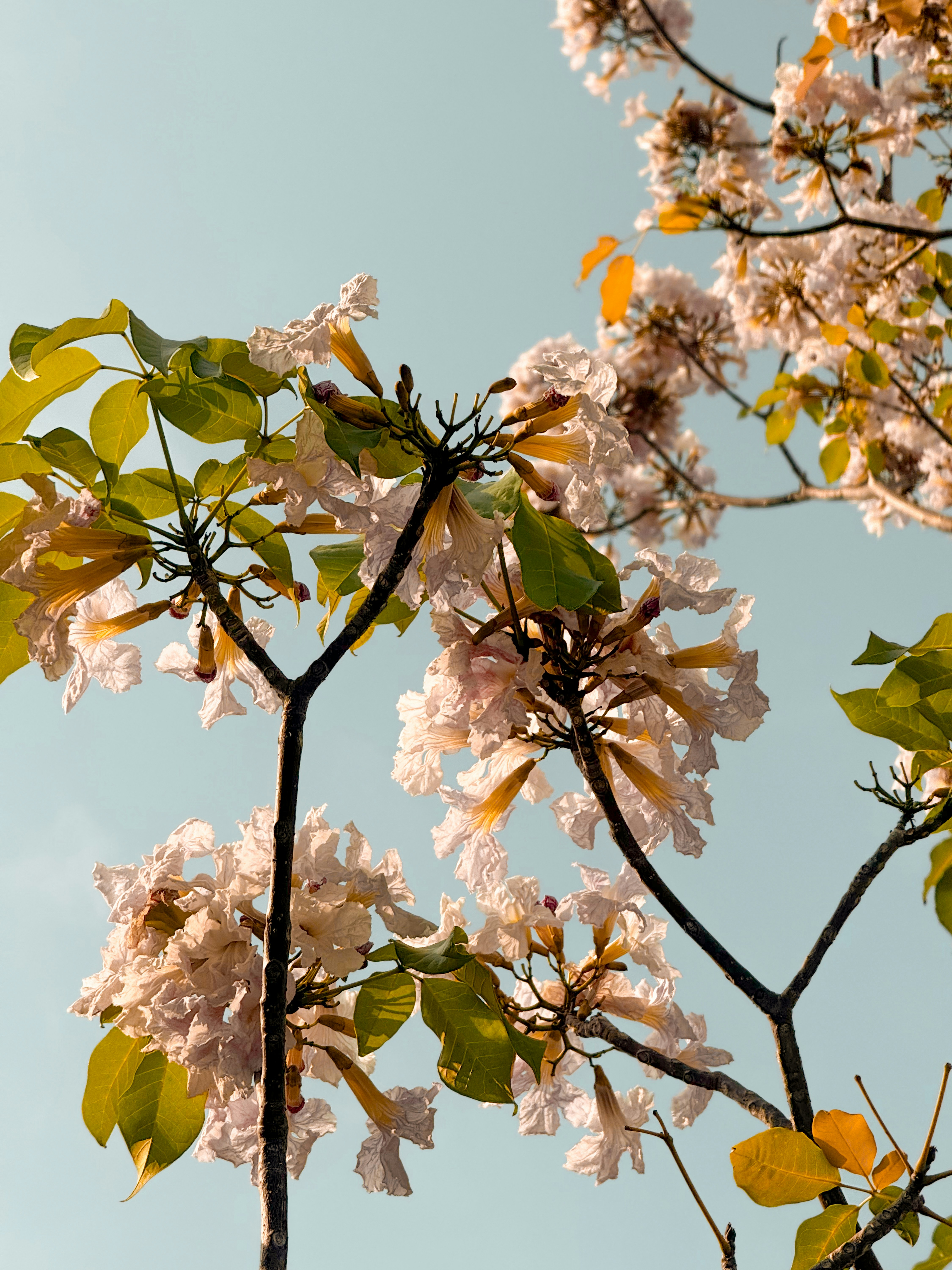 Photo by dawnofdaisy