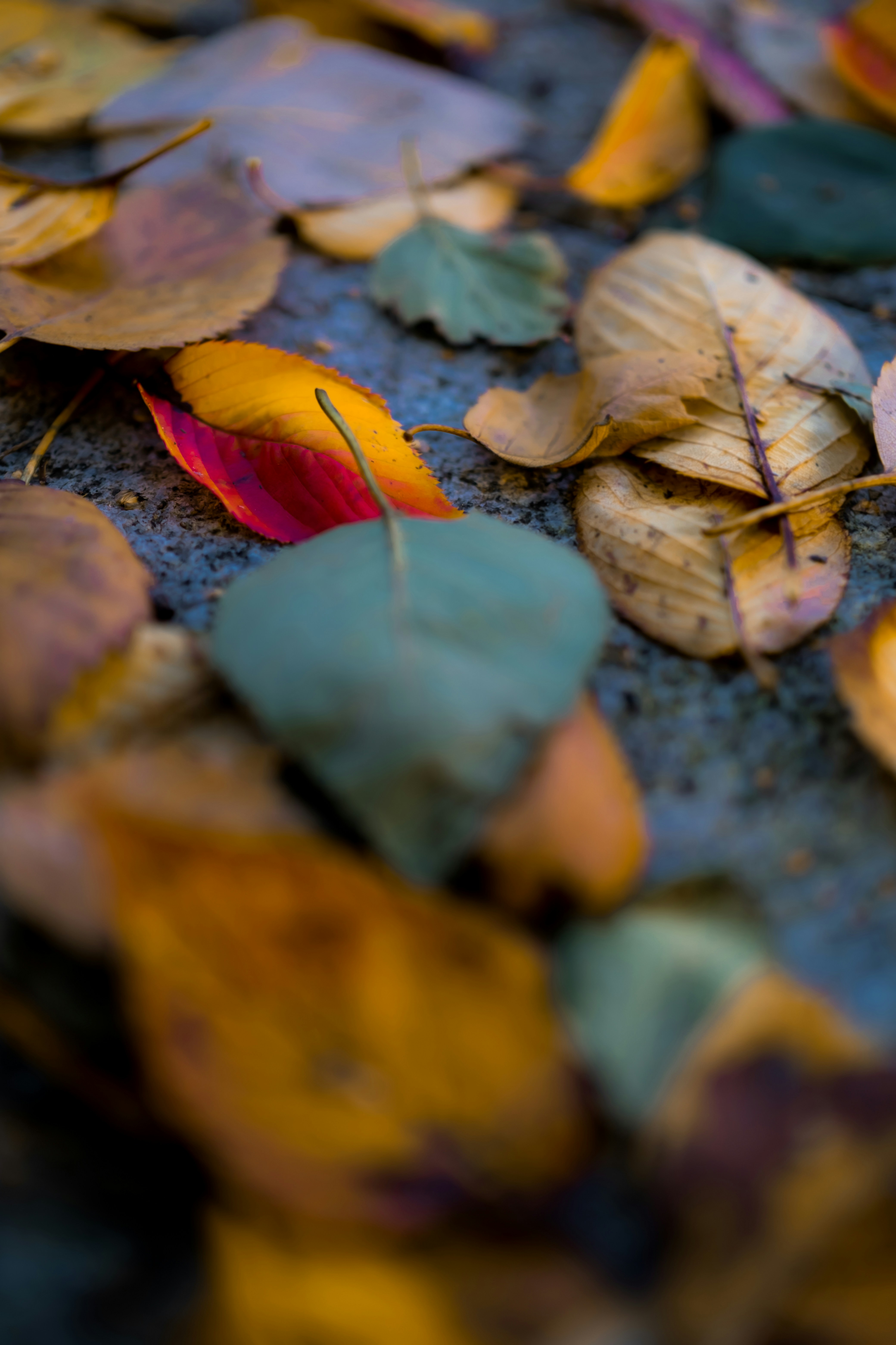 Photo by atelierbyvineeth