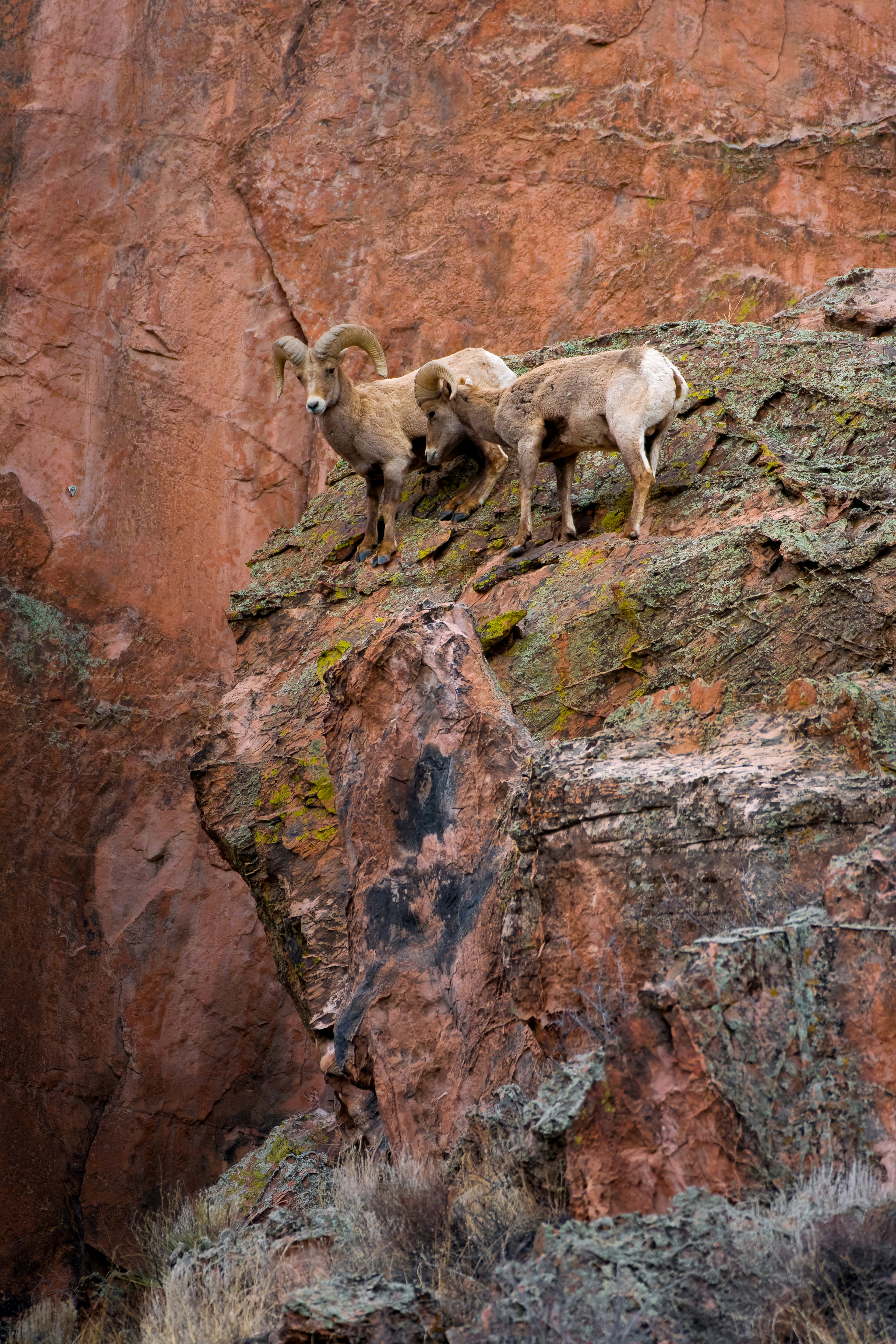 Photo by danielforsterphoto