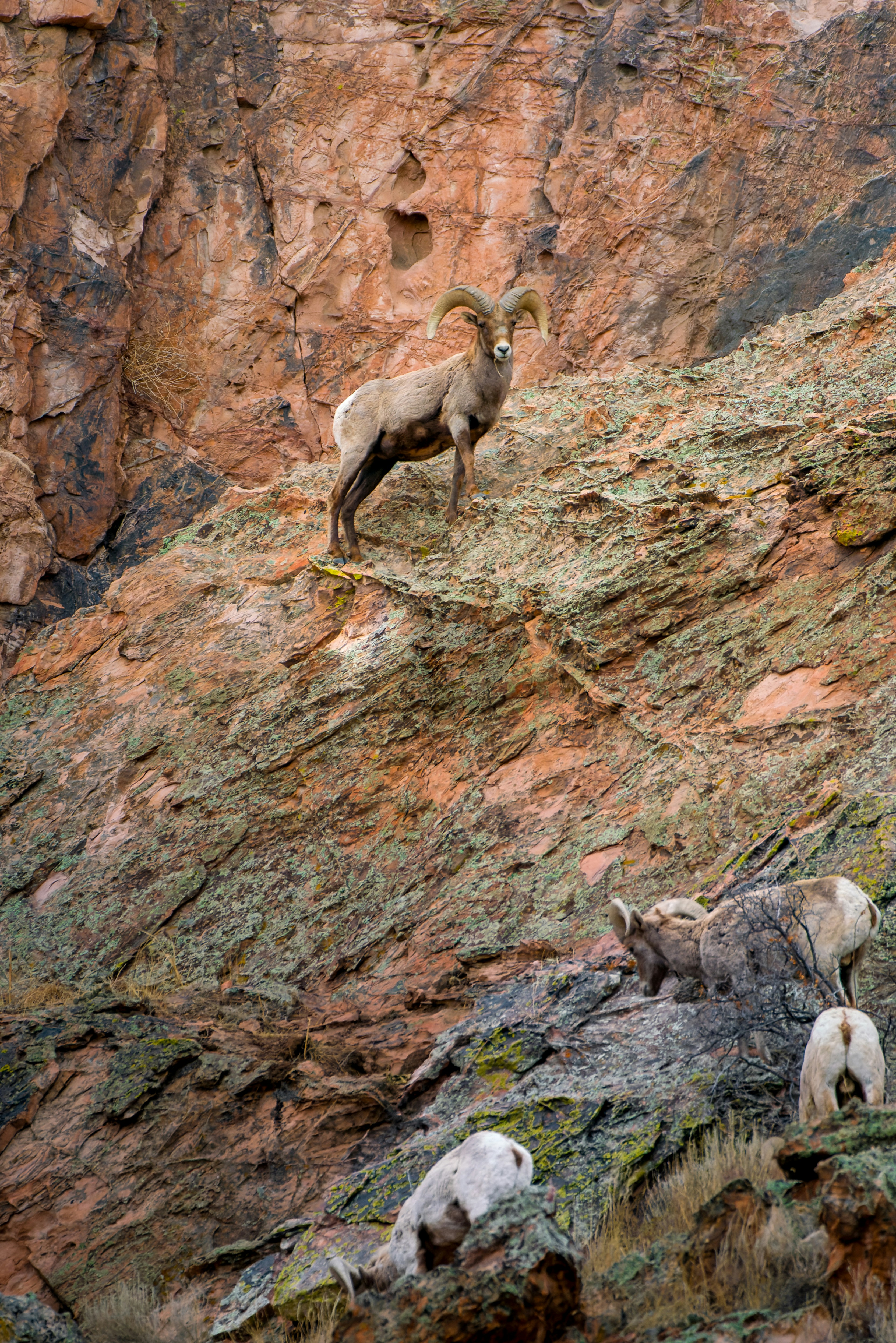 Photo by danielforsterphoto