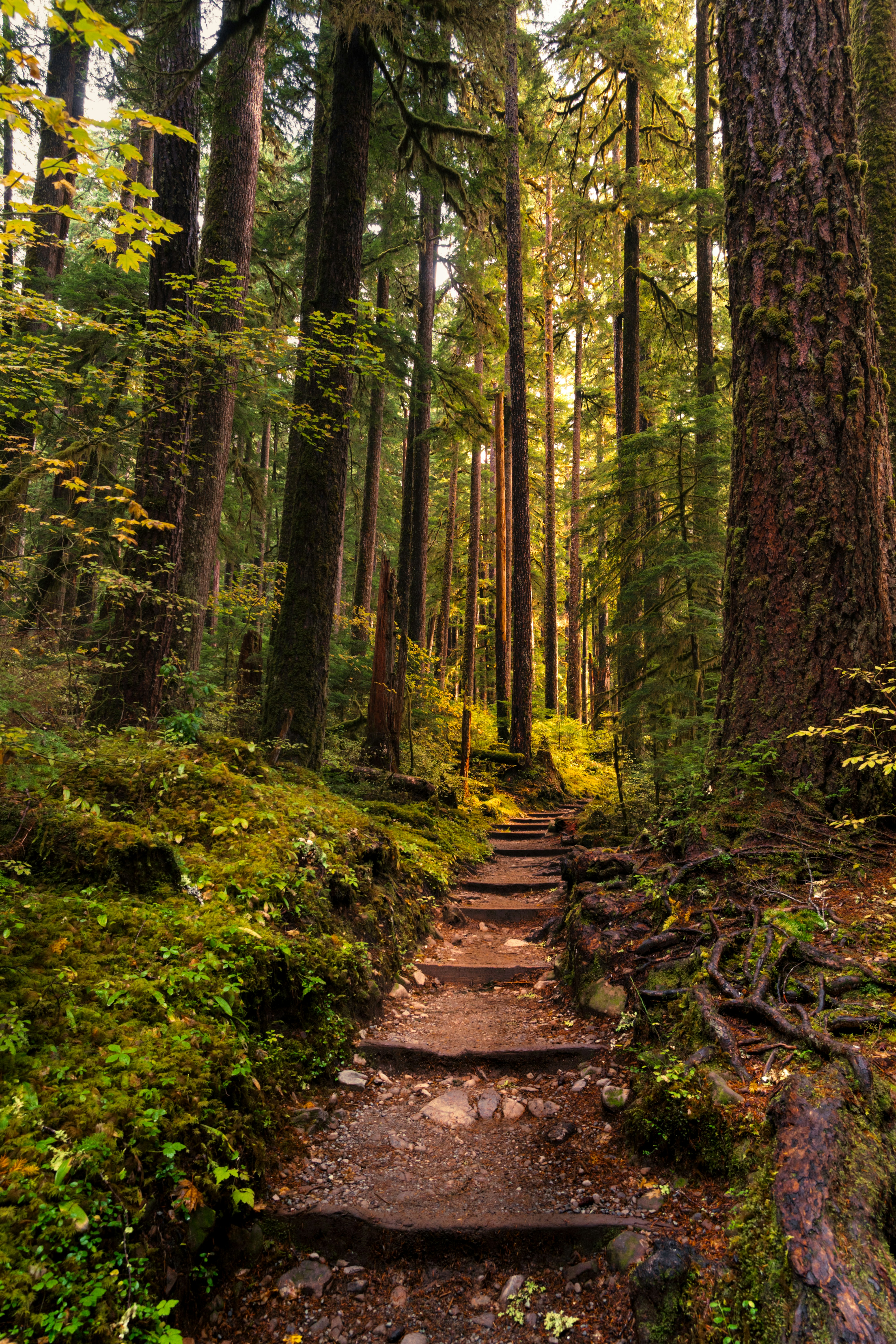 Photo by danielforsterphoto