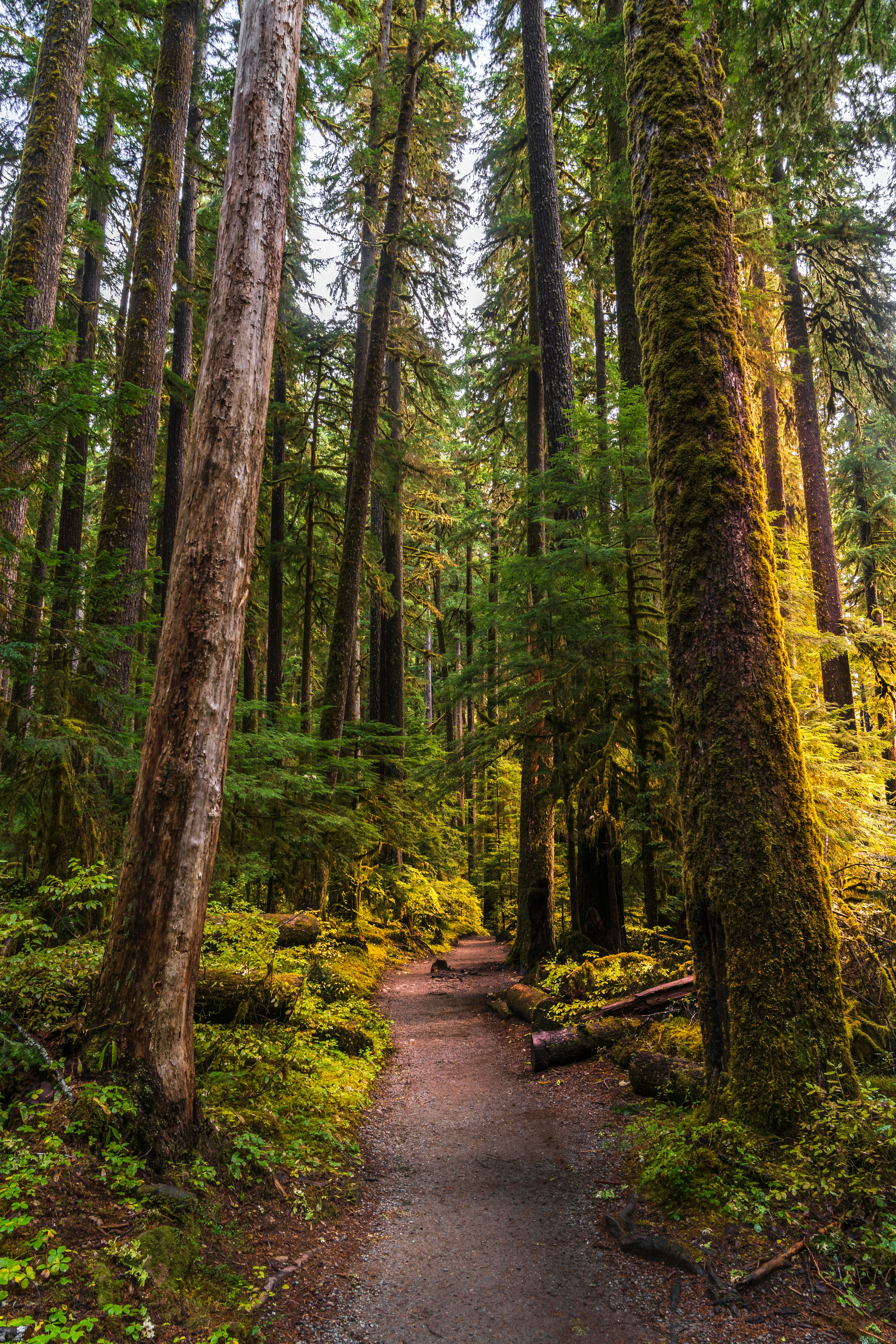 Photo by danielforsterphoto