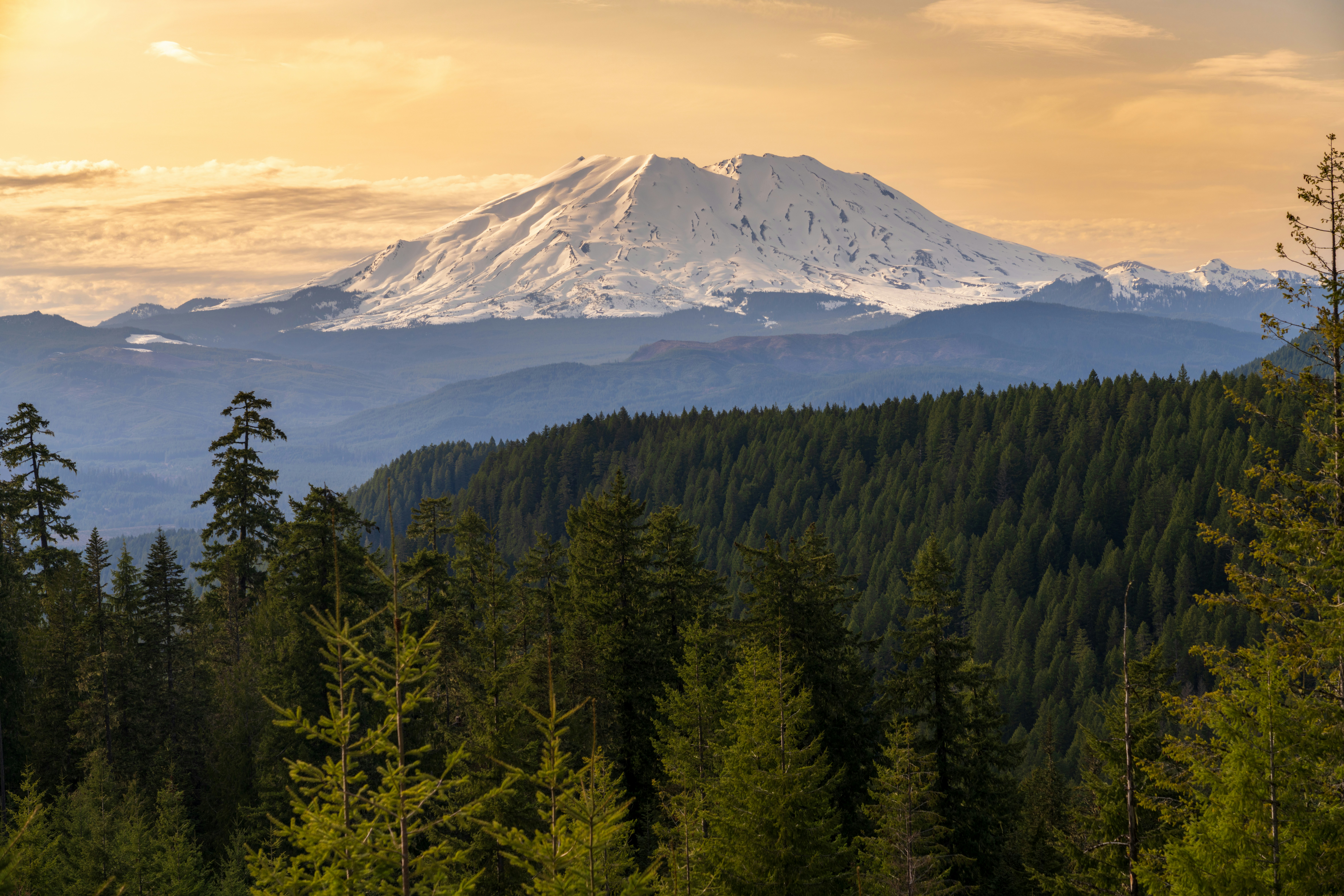 Photo by danielforsterphoto