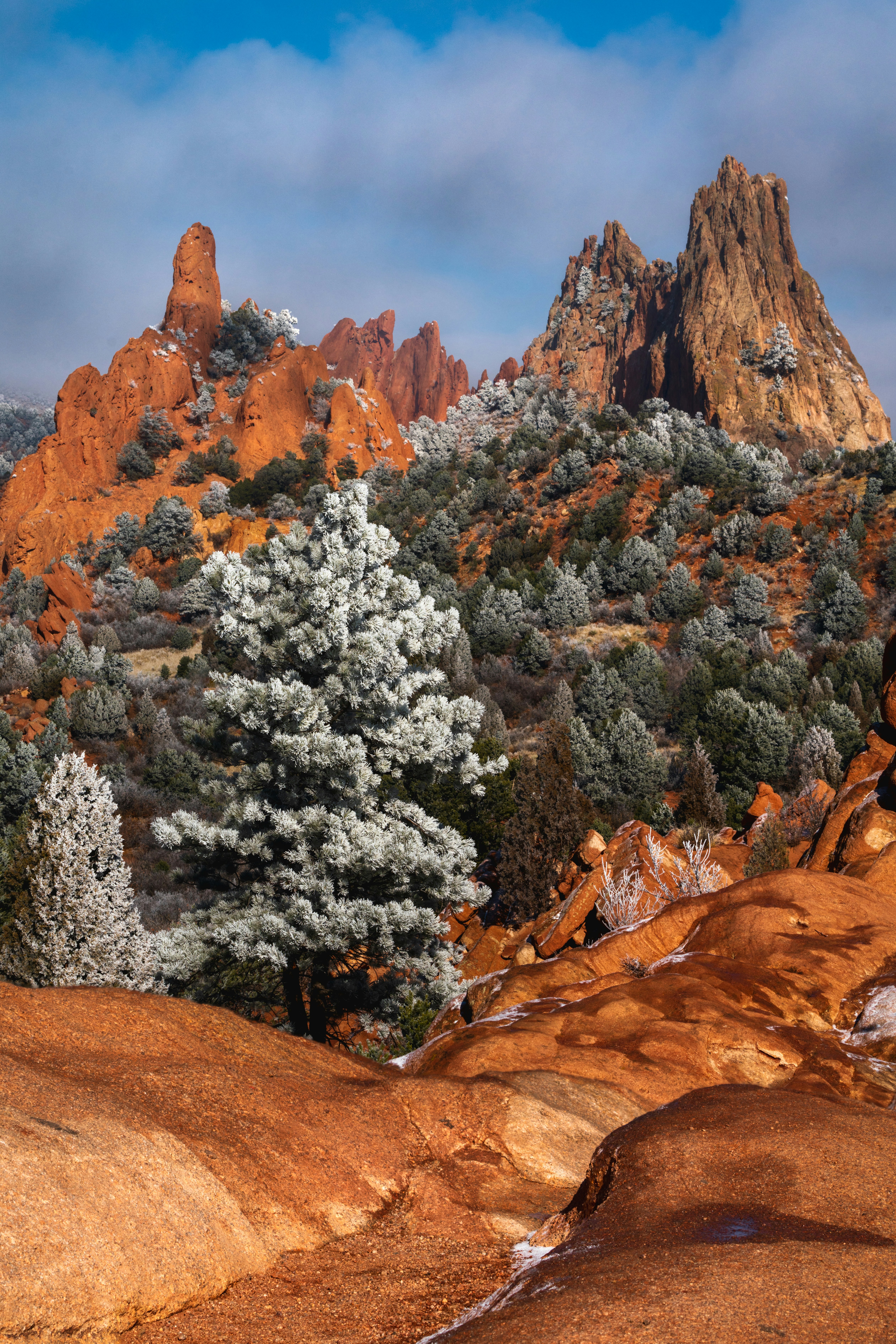 Photo by danielforsterphoto