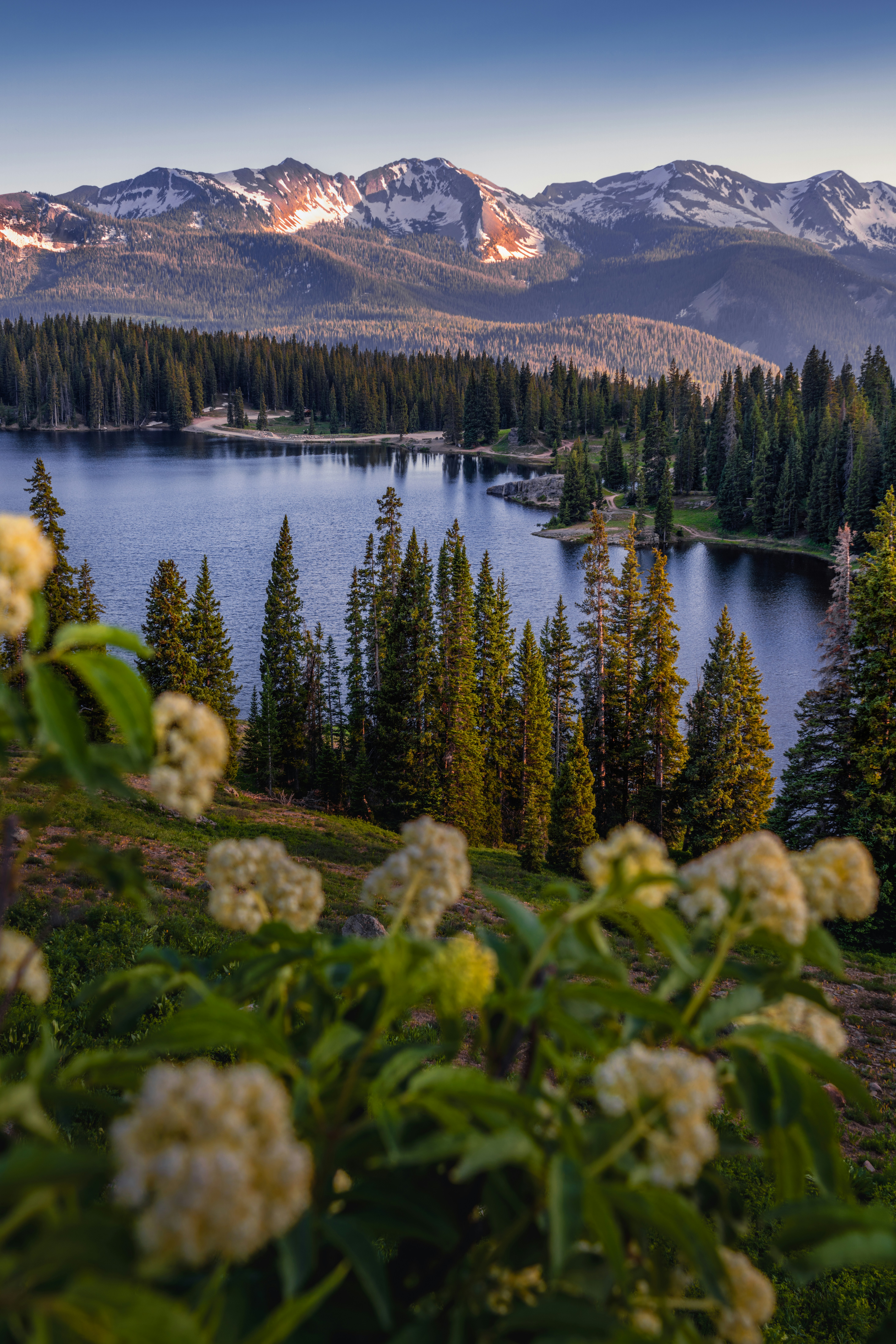 Background image for slide 1