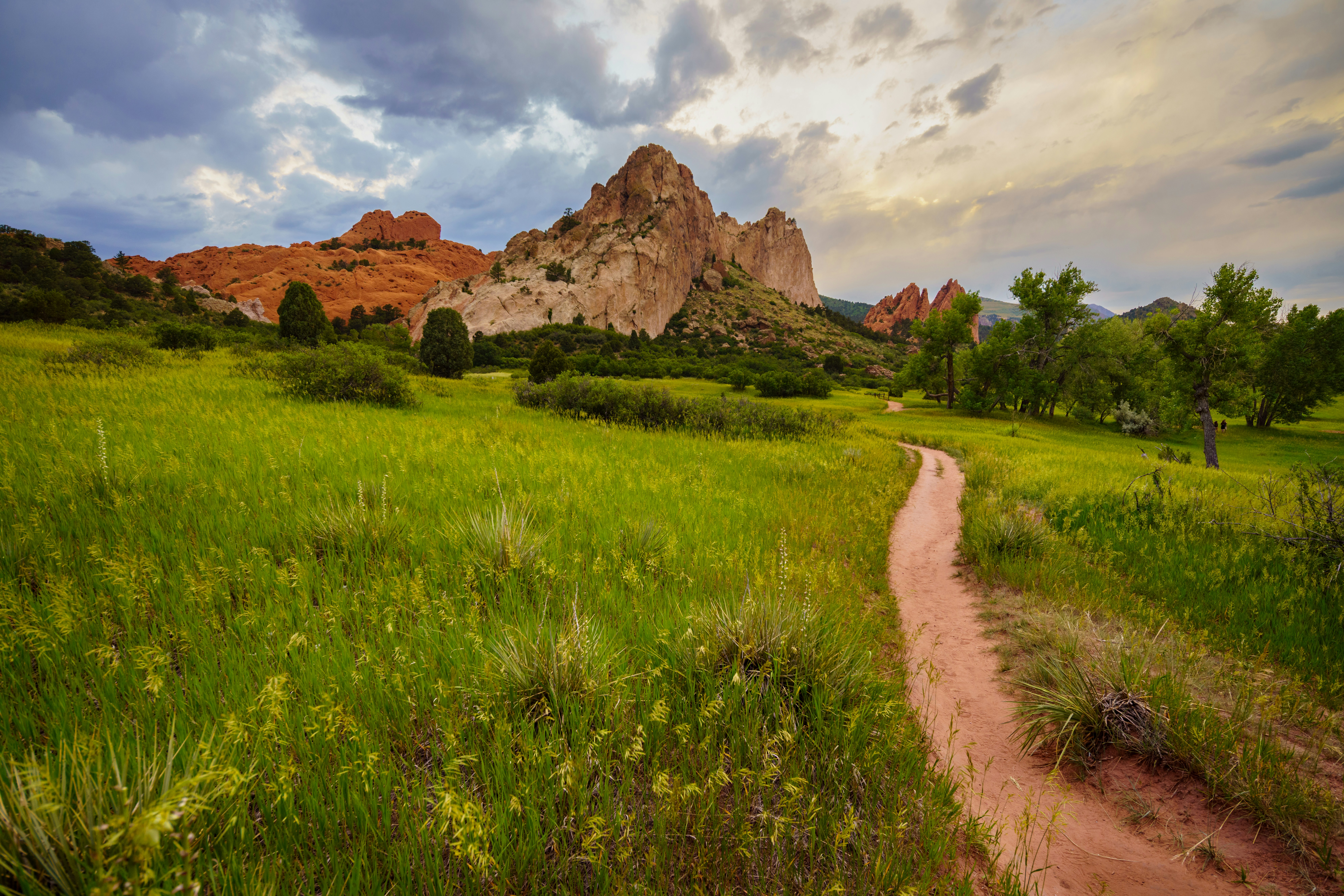 Dirt path through a green meadow towards rocky mountains.