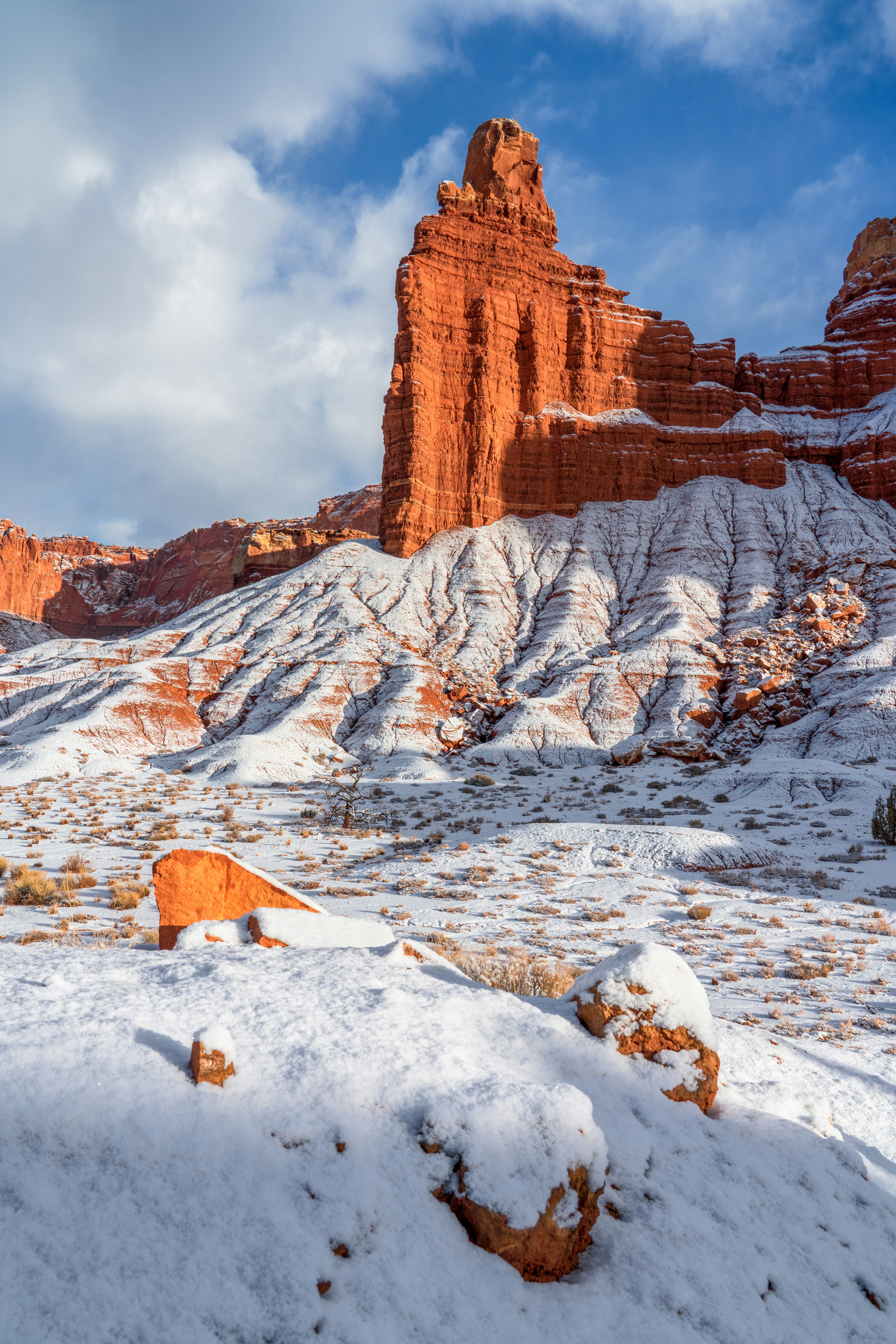 Photo by danielforsterphoto