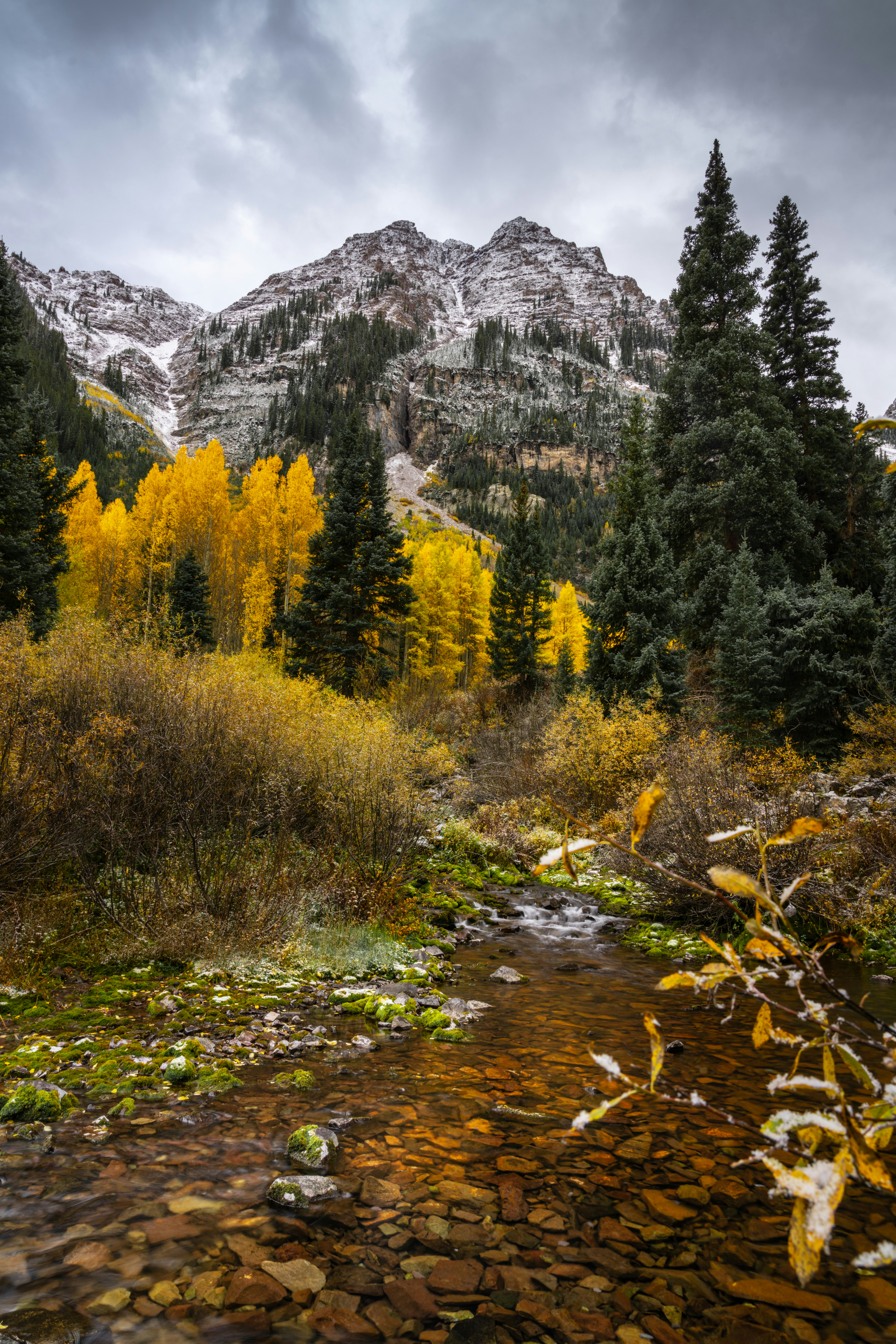 Photo by danielforsterphoto