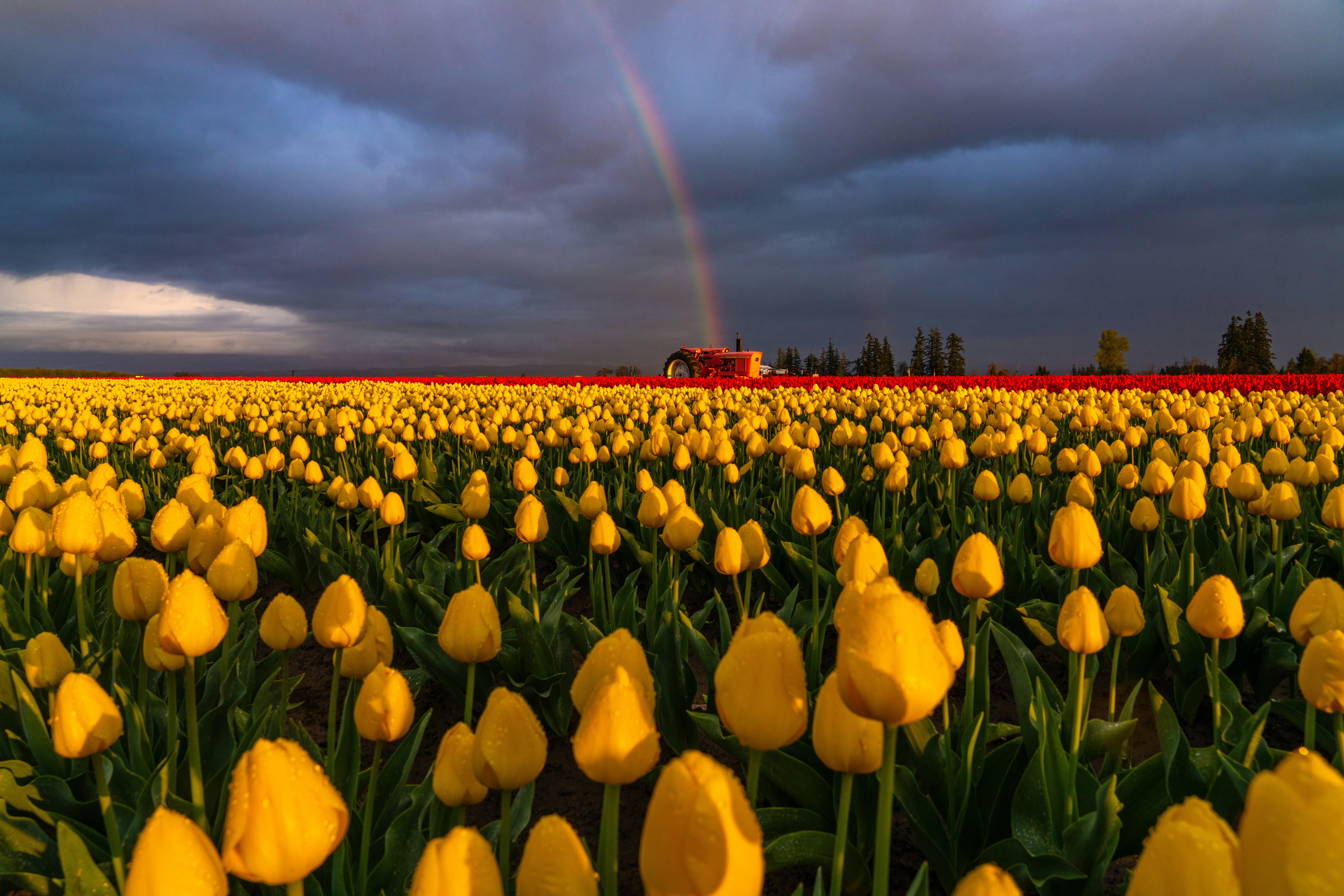 dutch storm rain clouds