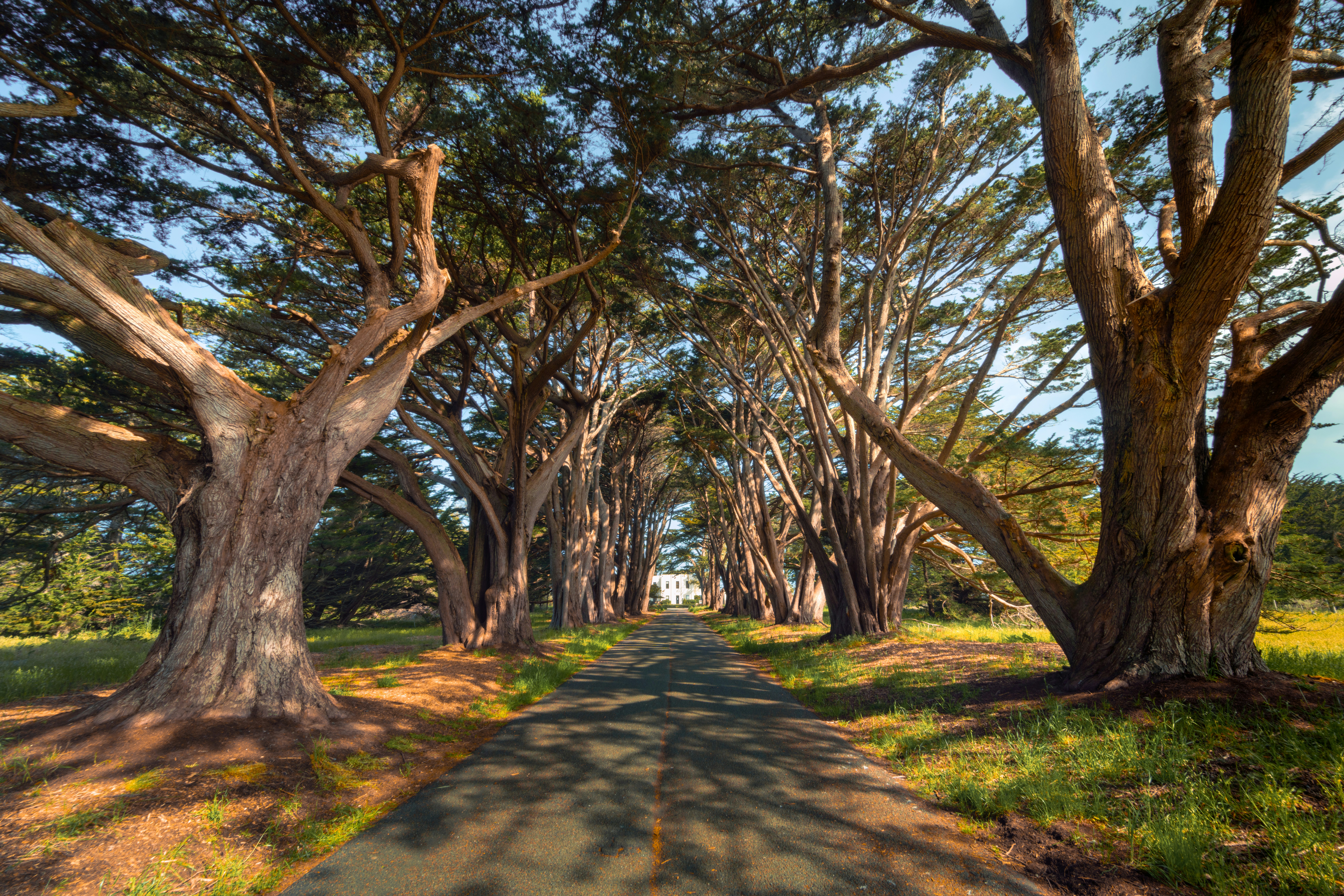 Photo by danielforsterphoto