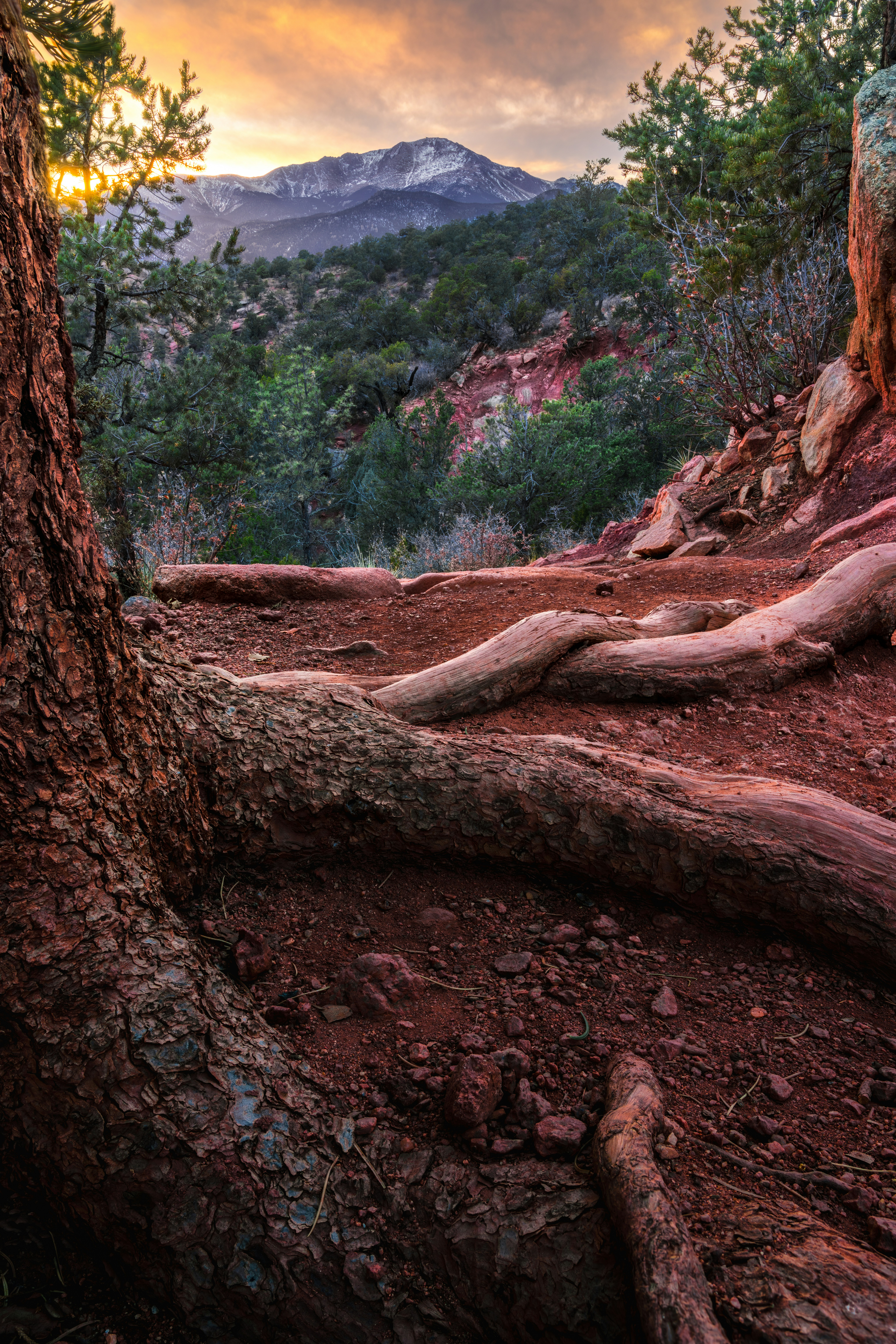 Photo by danielforsterphoto