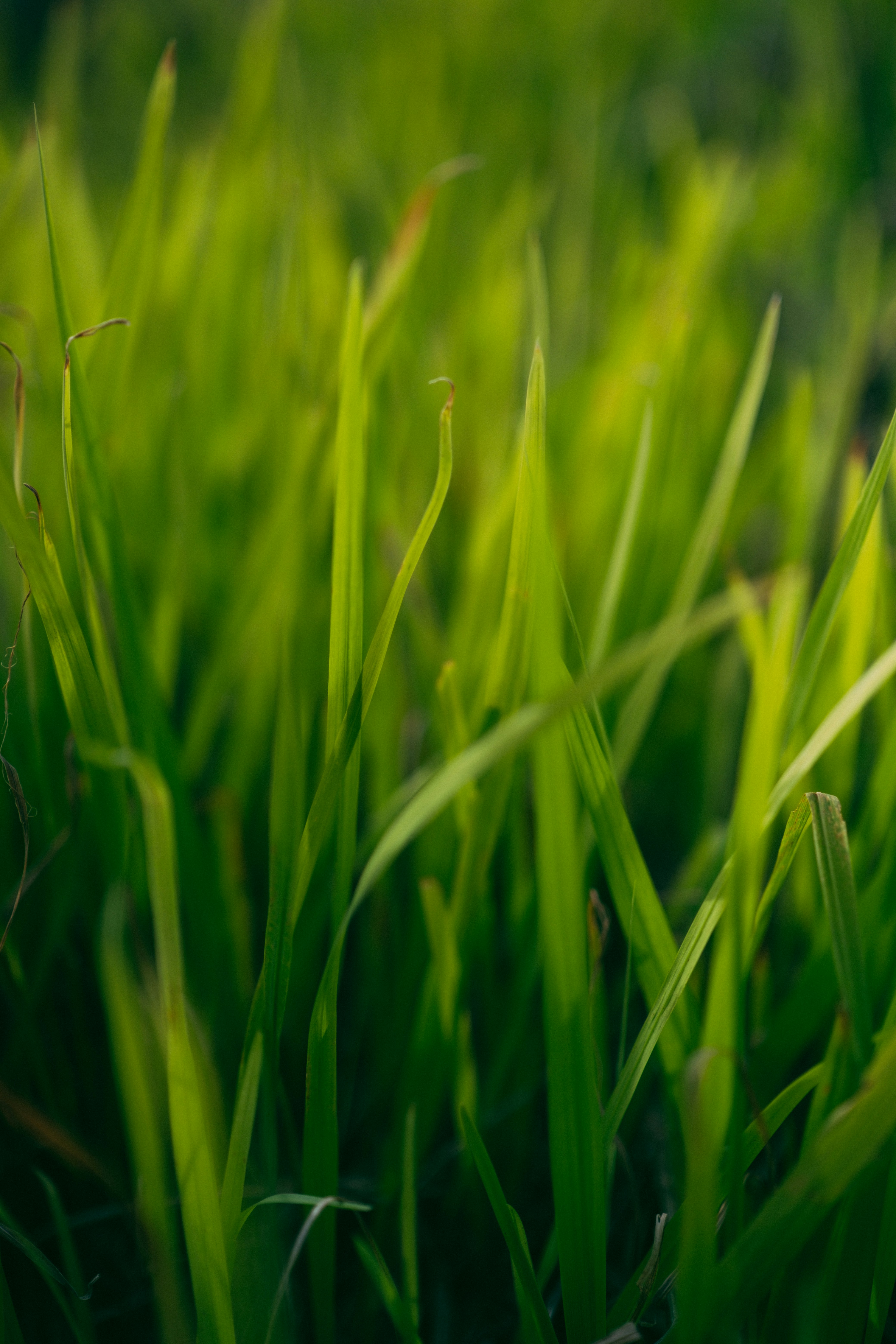 Photo by atelierbyvineeth