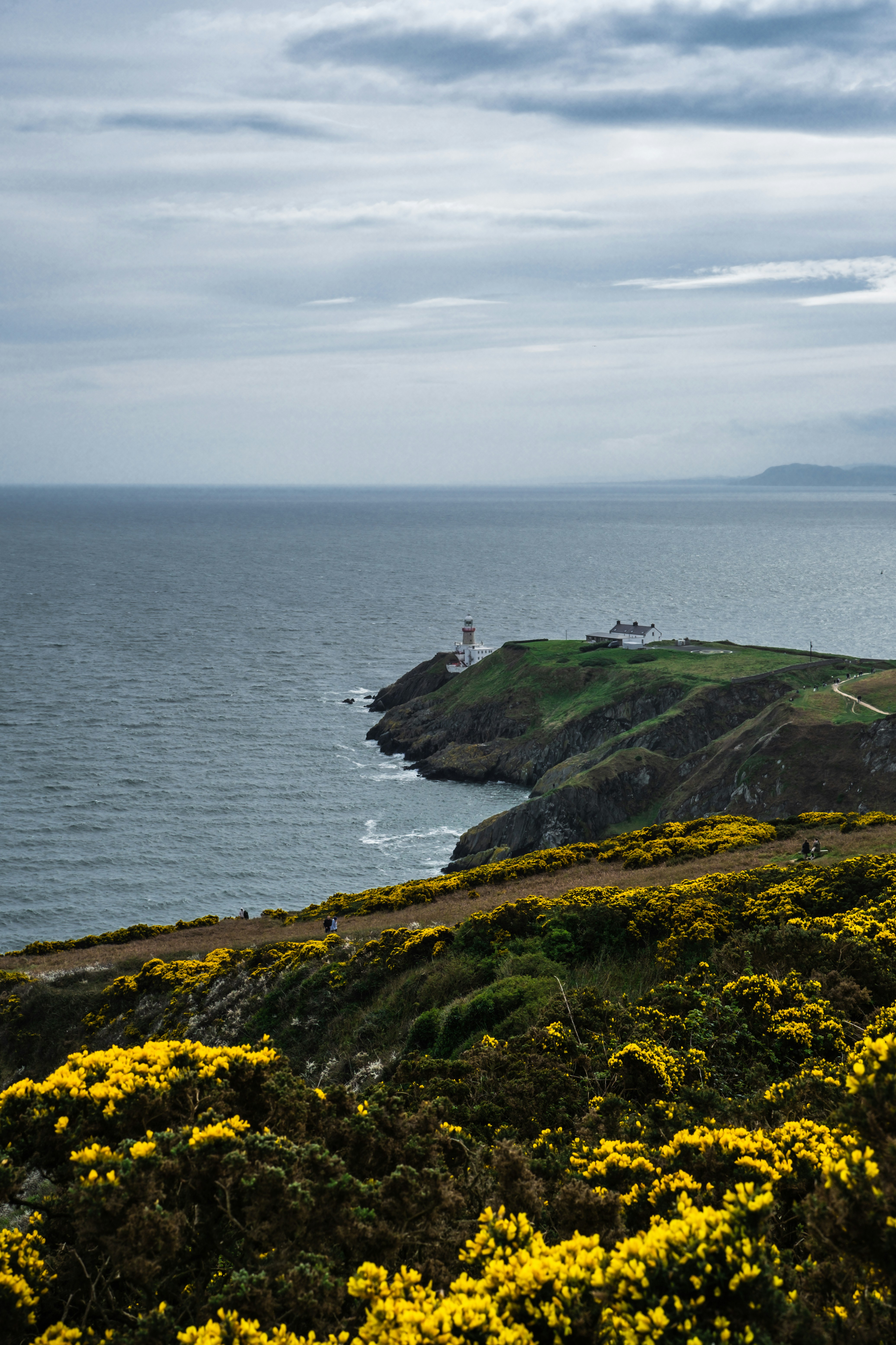 Photo by atelierbyvineeth