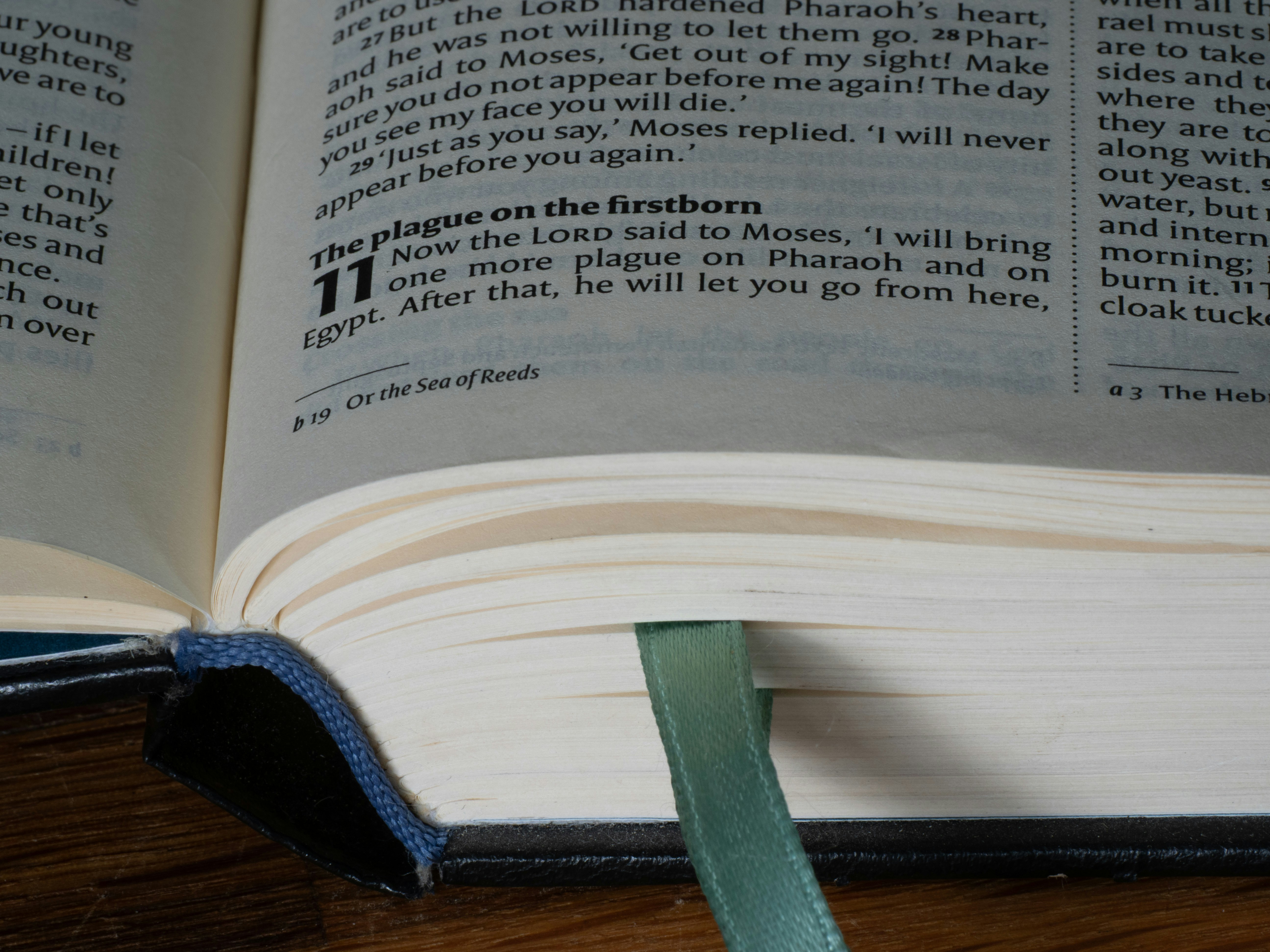 Close-up of an open book with a bookmark.