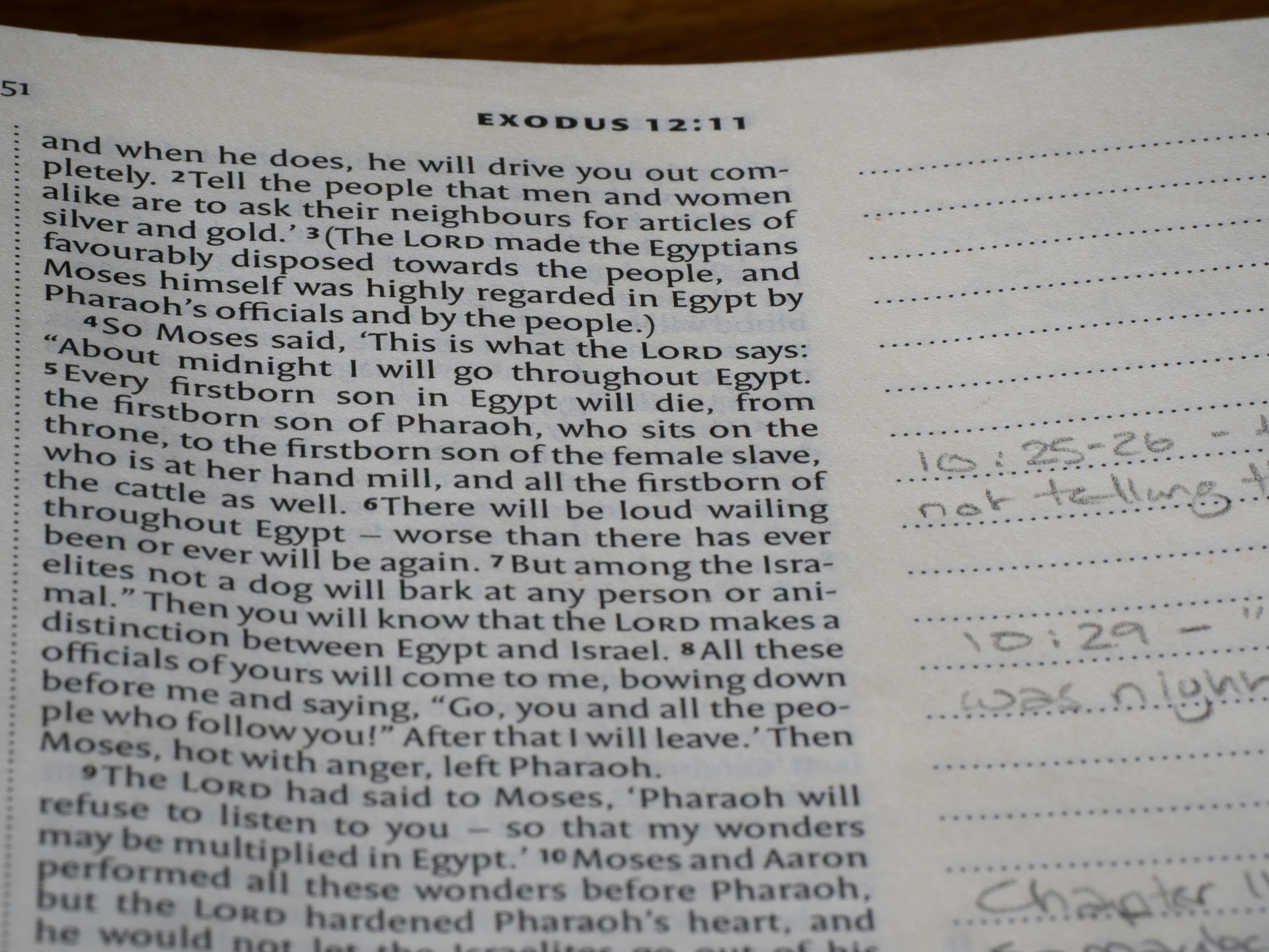Close-up of an open bible page with text.
