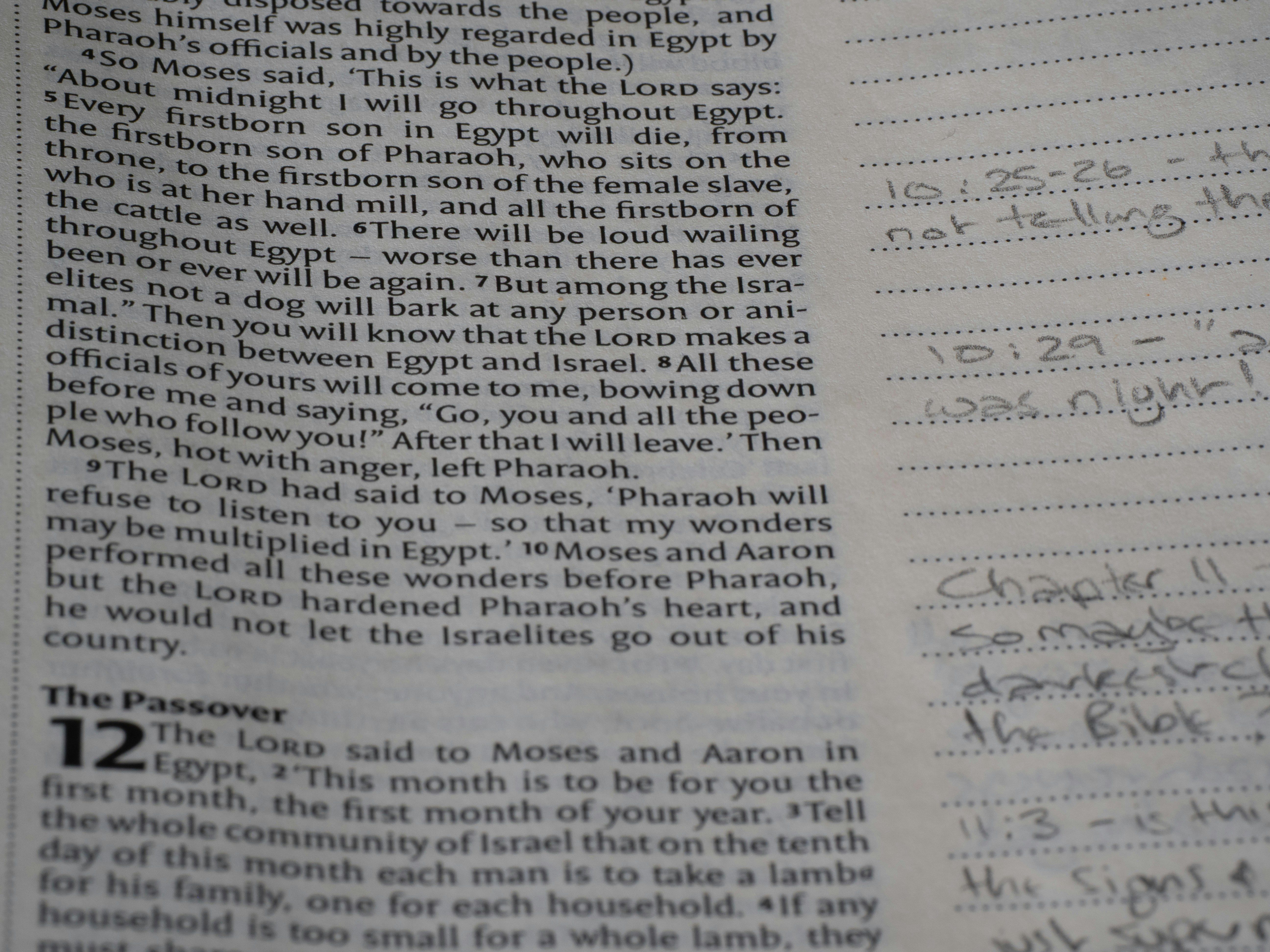 Photo by brett_jordan