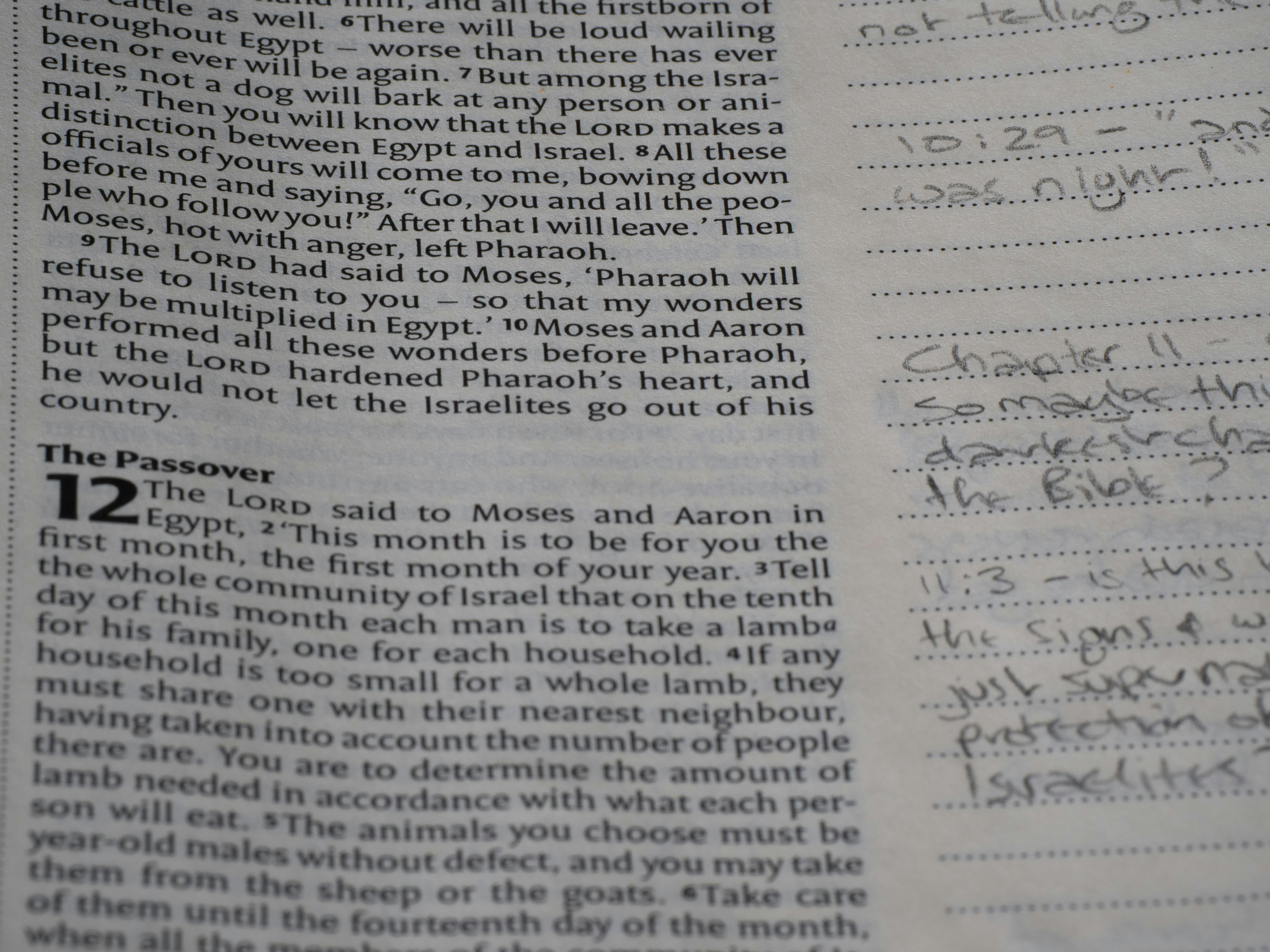 Close-up of bible pages with handwritten notes.
