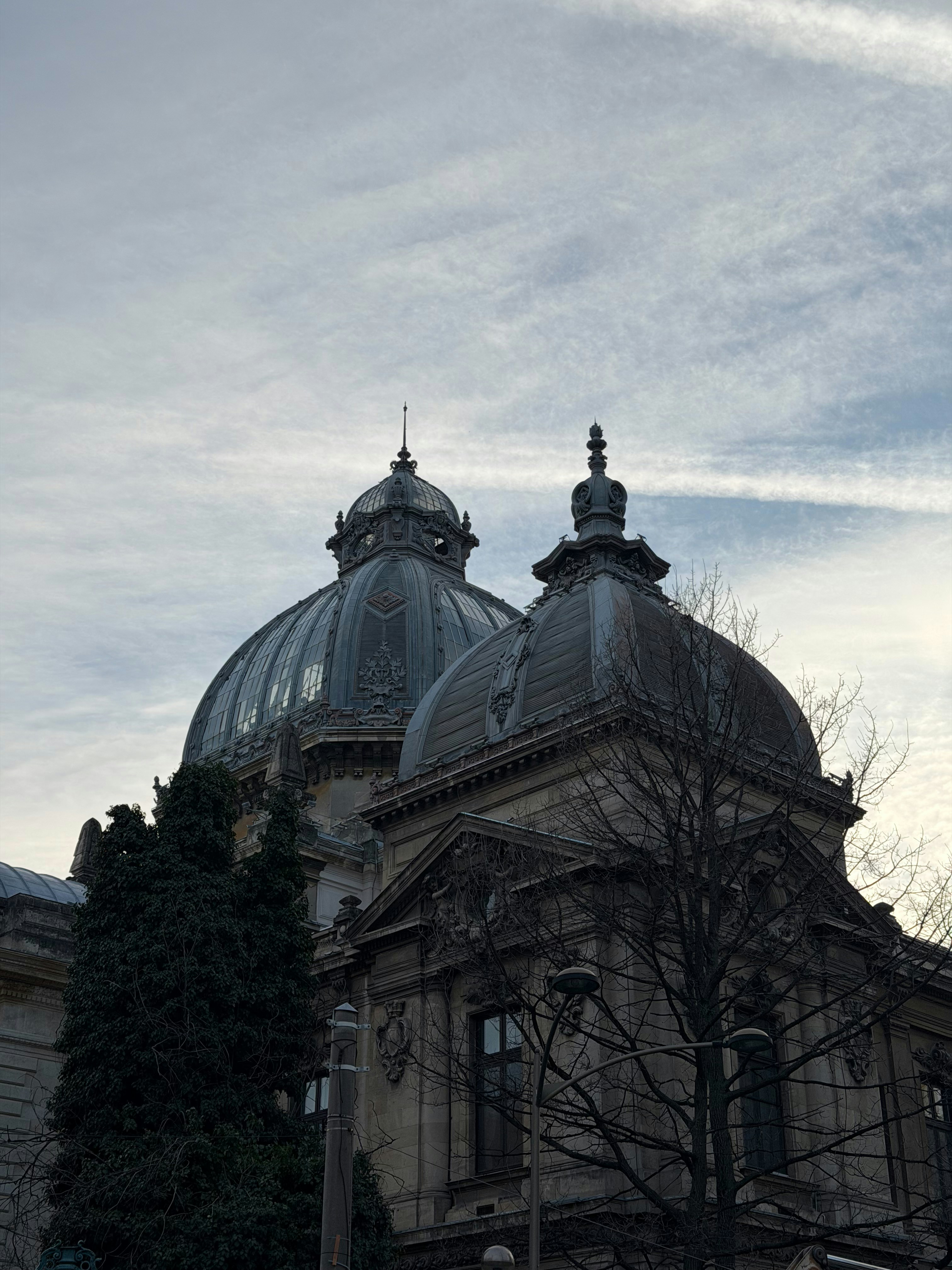 Ornate building with domes and bare trees