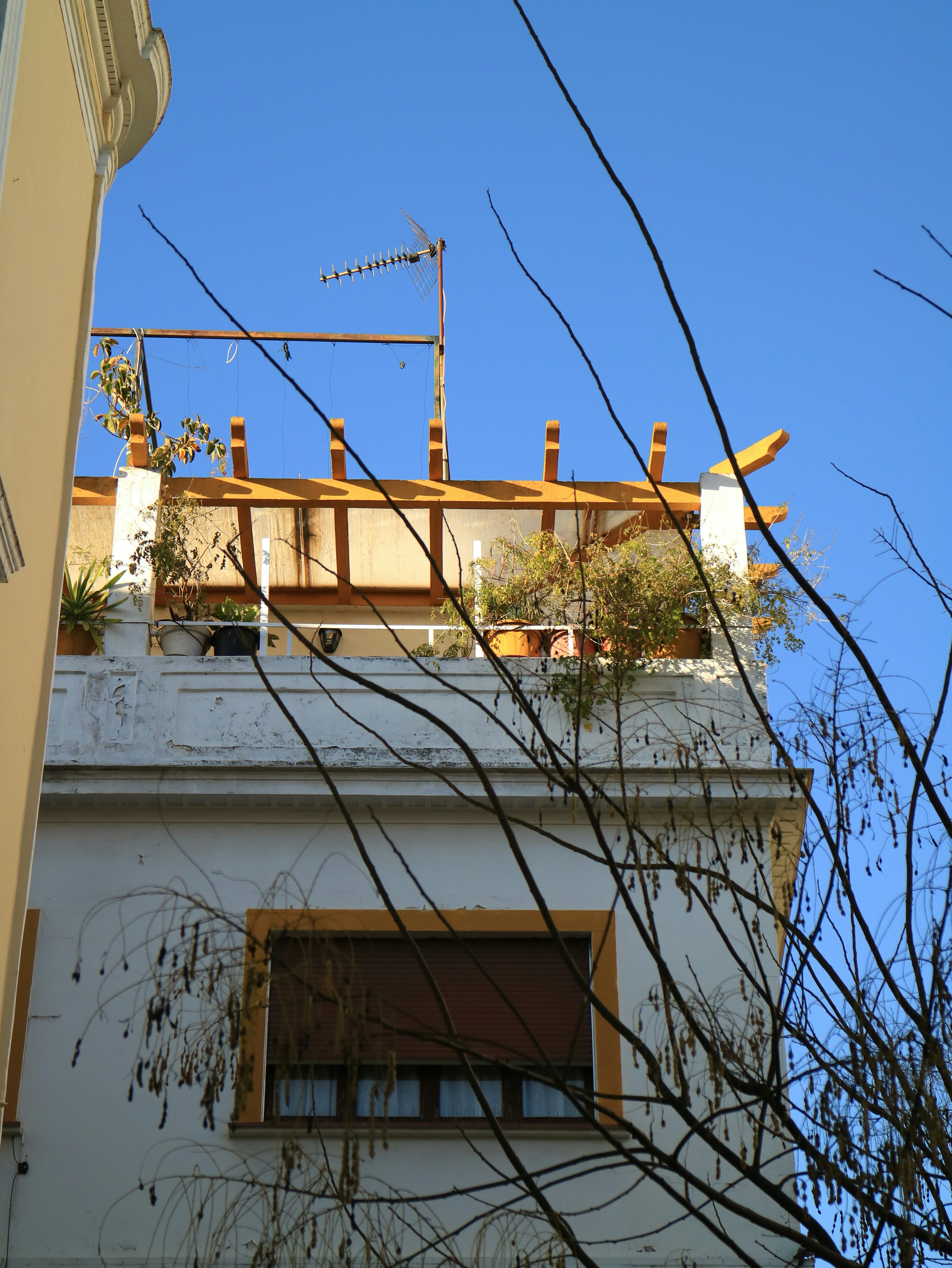 Jardim na cobertura com pérgola de madeira e céu azul