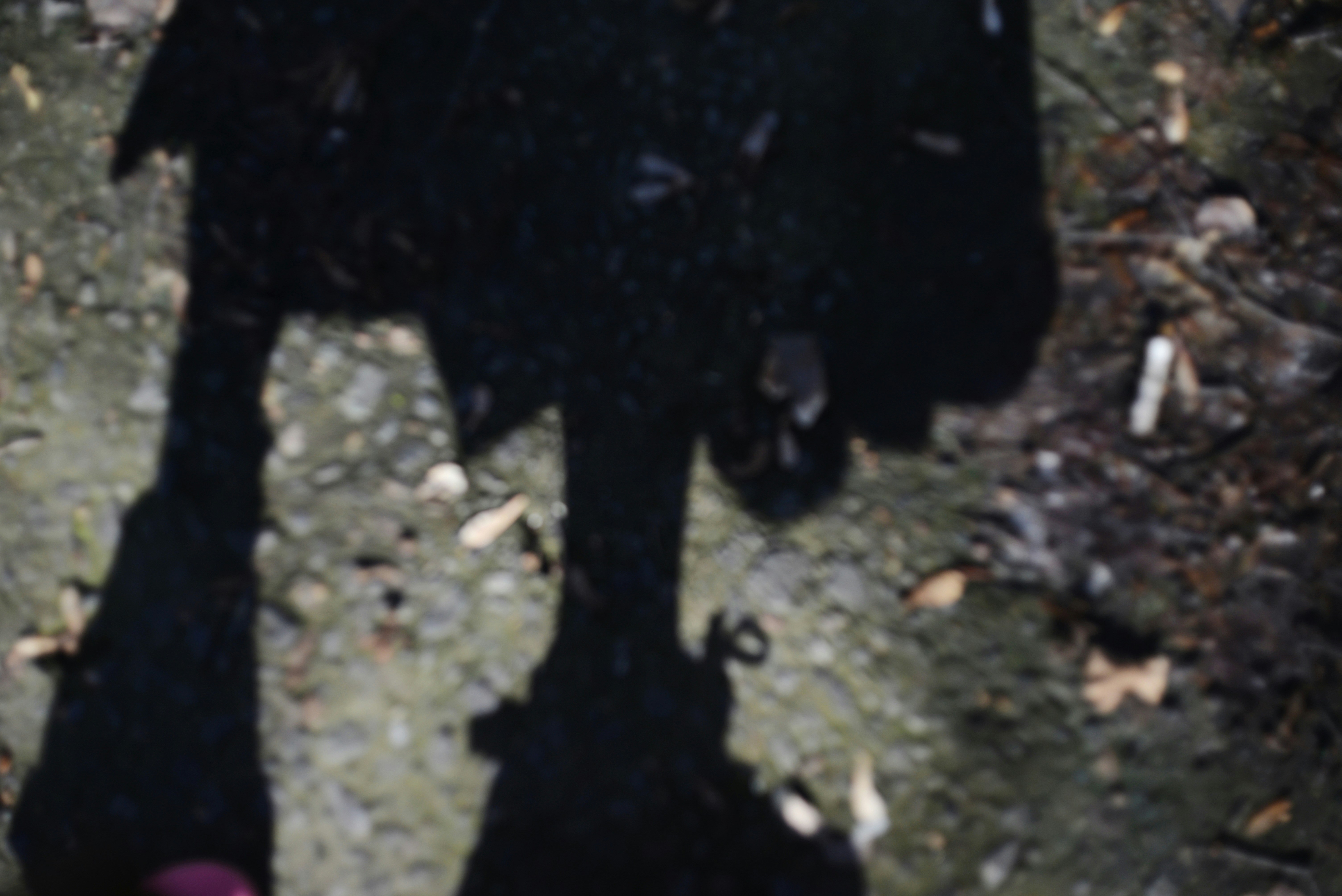 Sombra de las piernas de una persona en el suelo