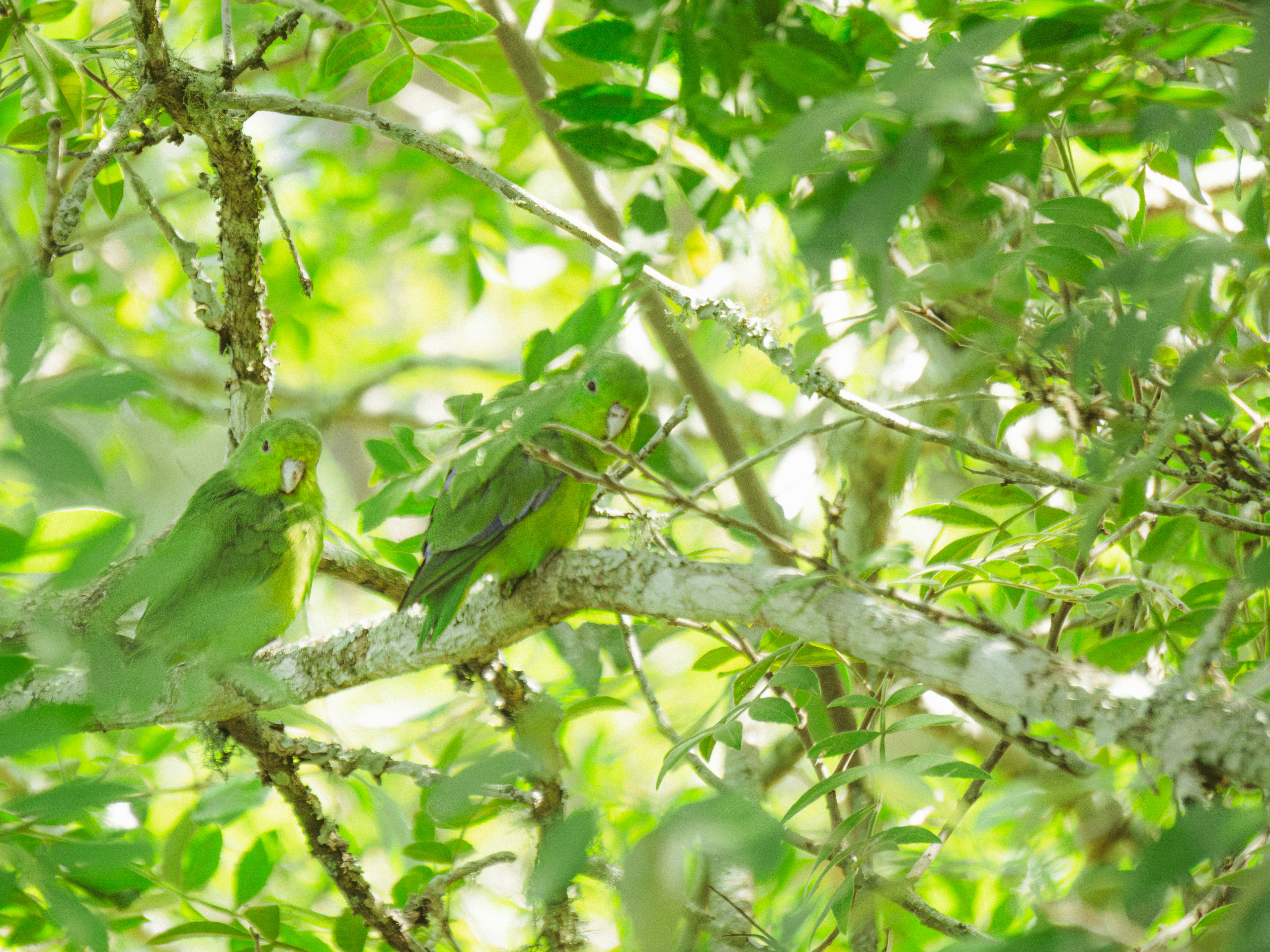 Photo by whereiskylenow