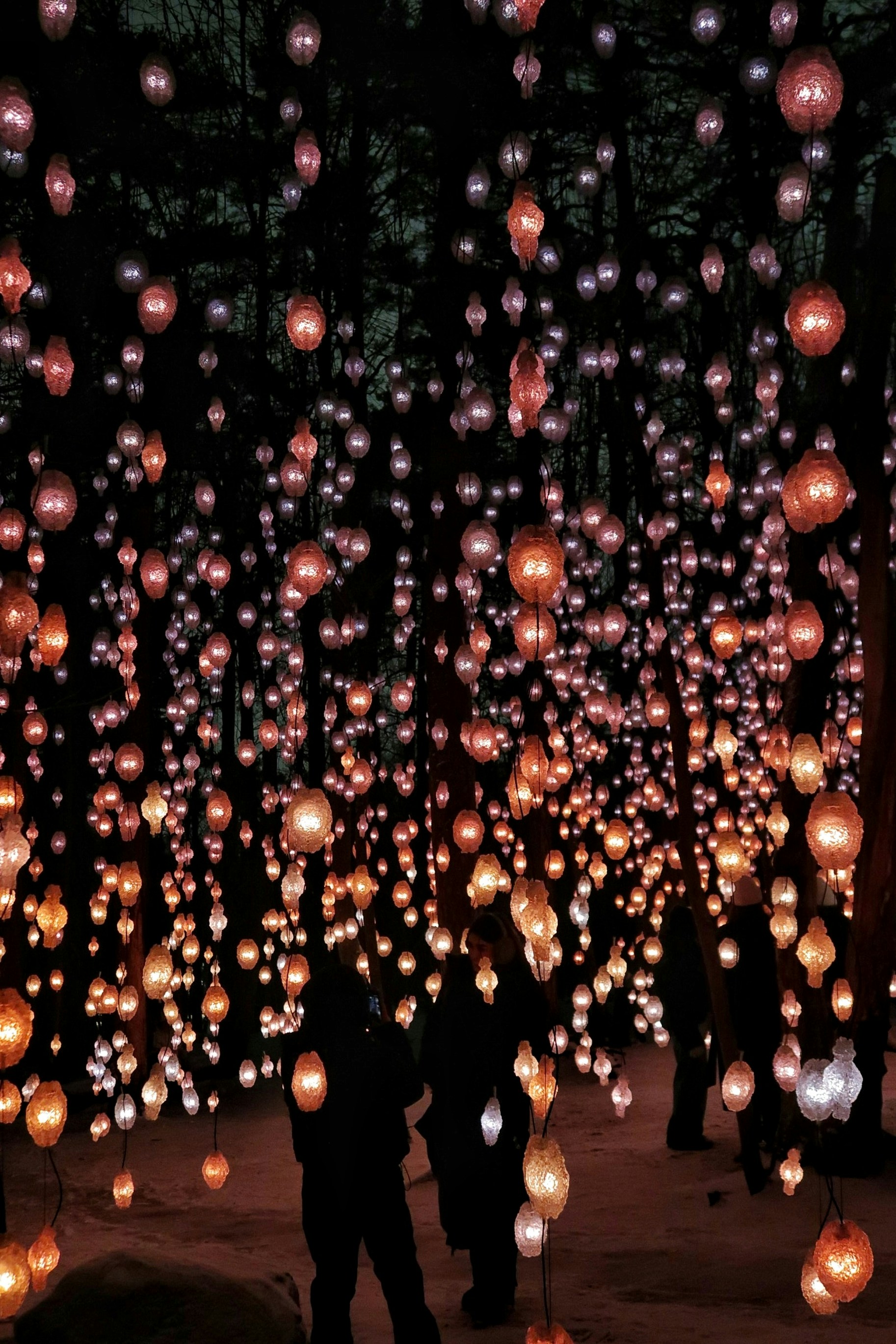 Photo by albacalbeto