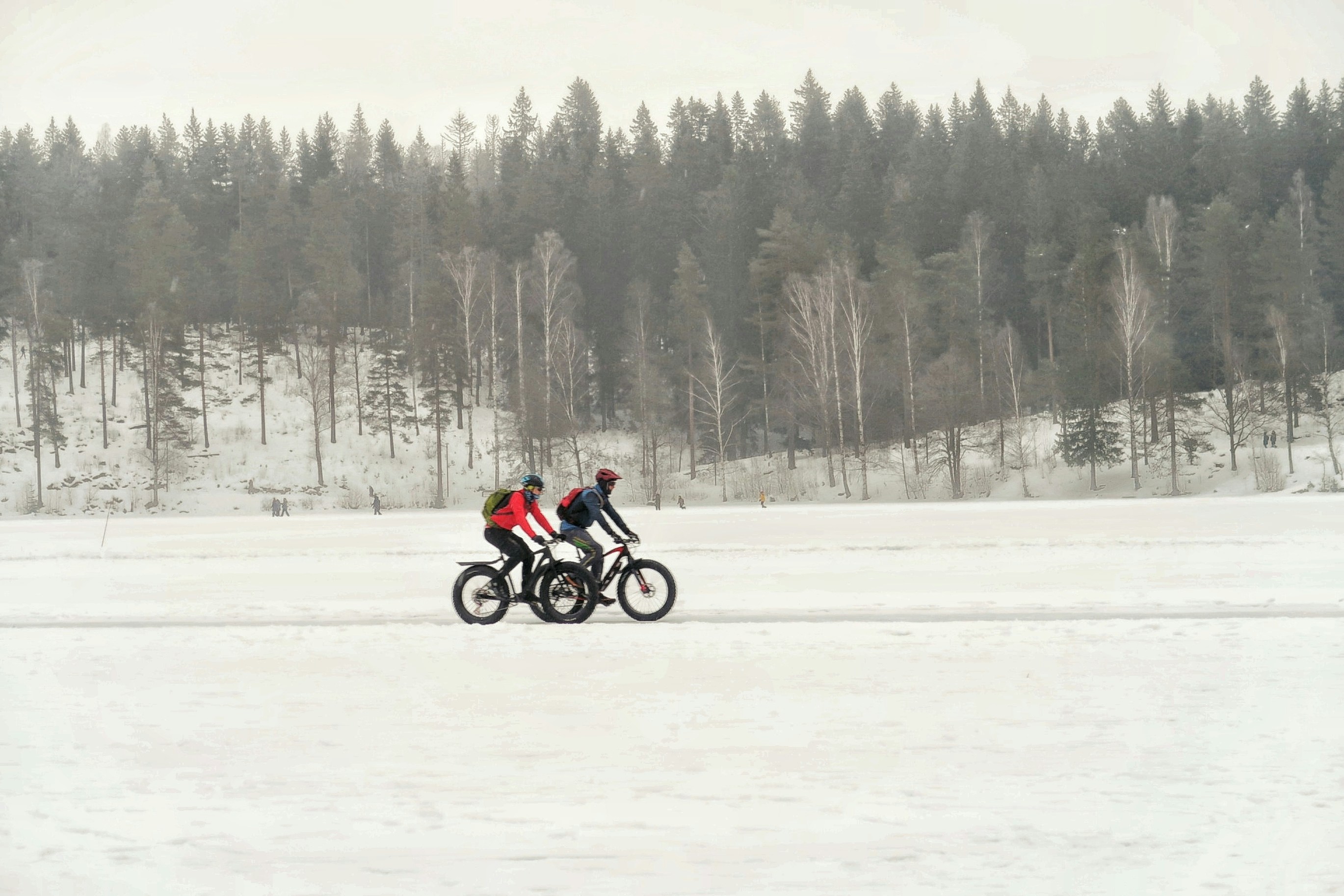 Two cyclists riding on a snowy landscape