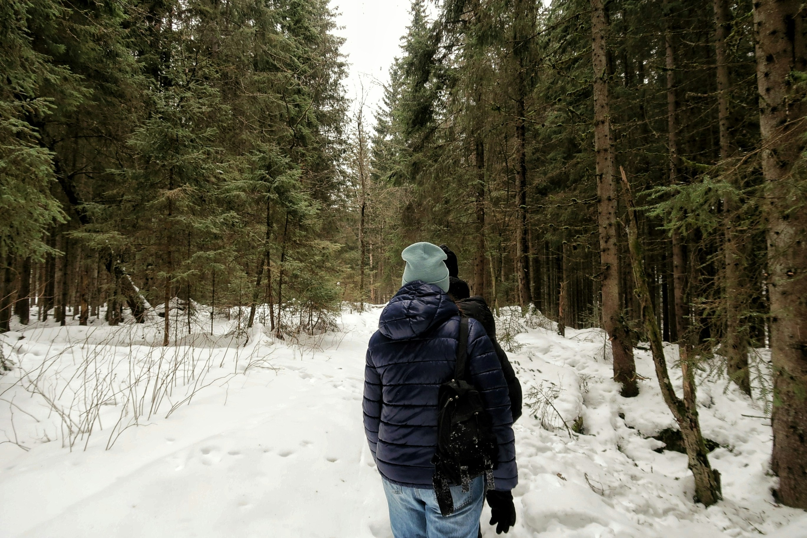 Persona caminando por un sendero nevado a través de un bosque