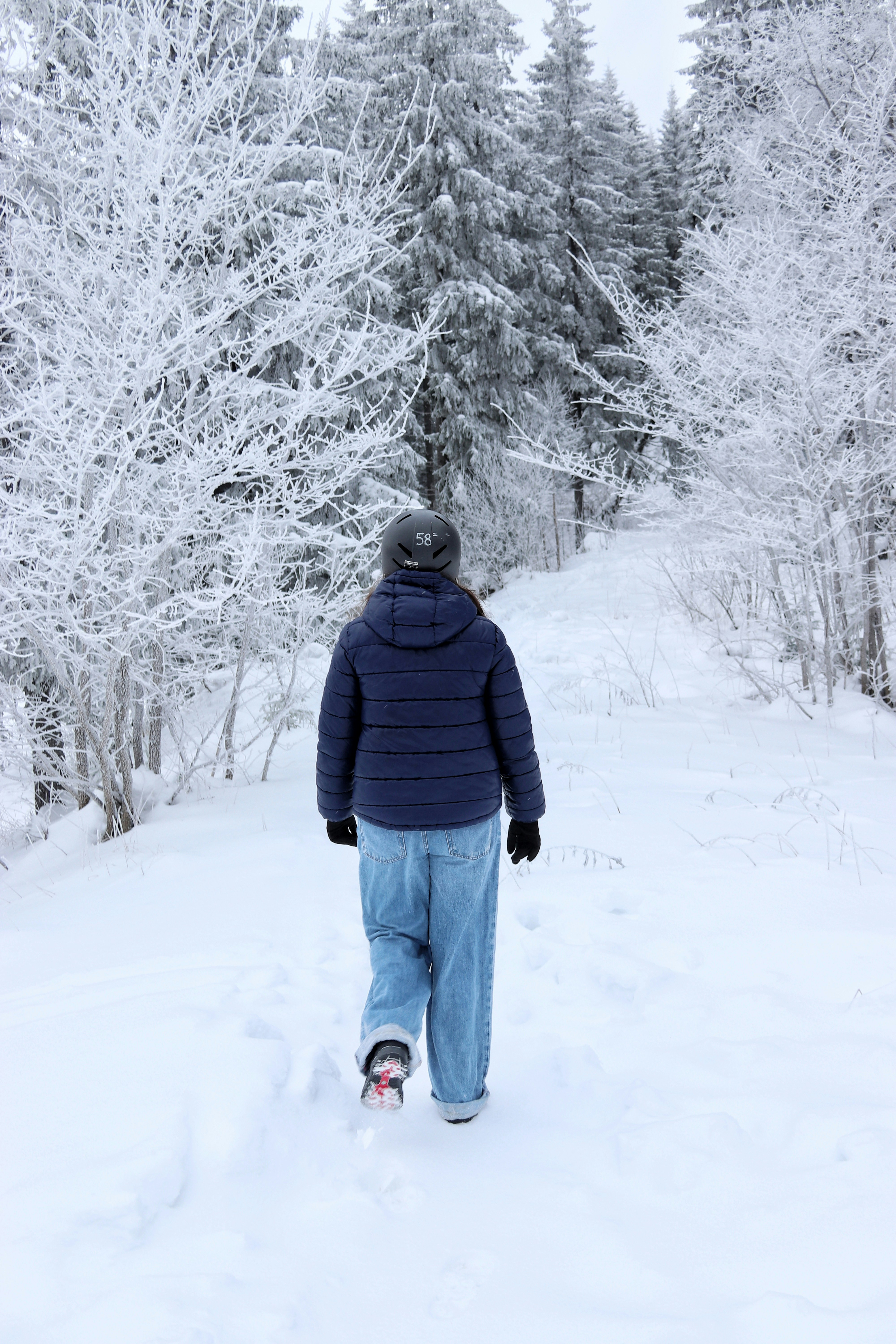 Person walking on a snowy path through frosted trees