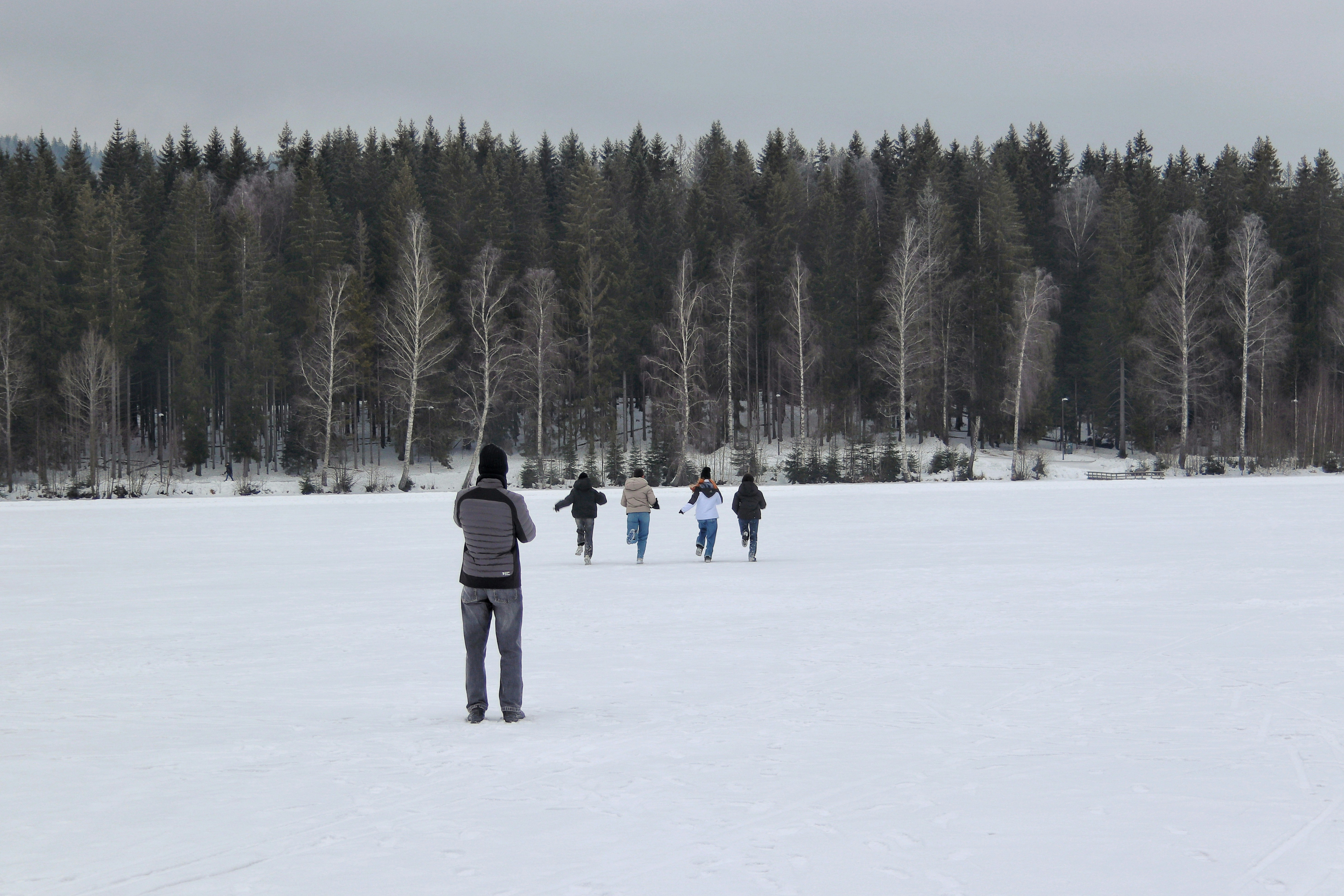 People ice skating on a frozen lake with forest background