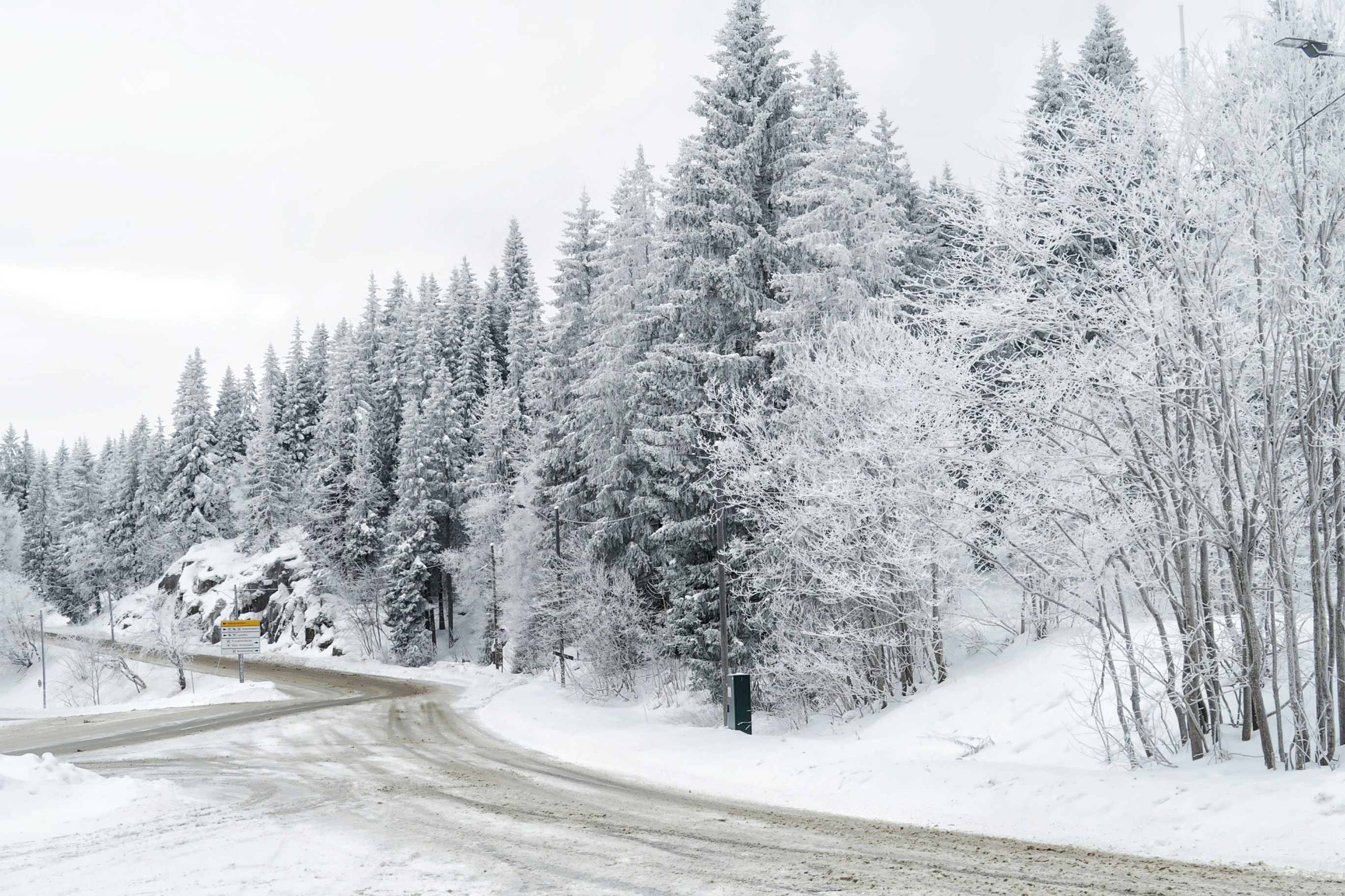 Photo by albacalbeto