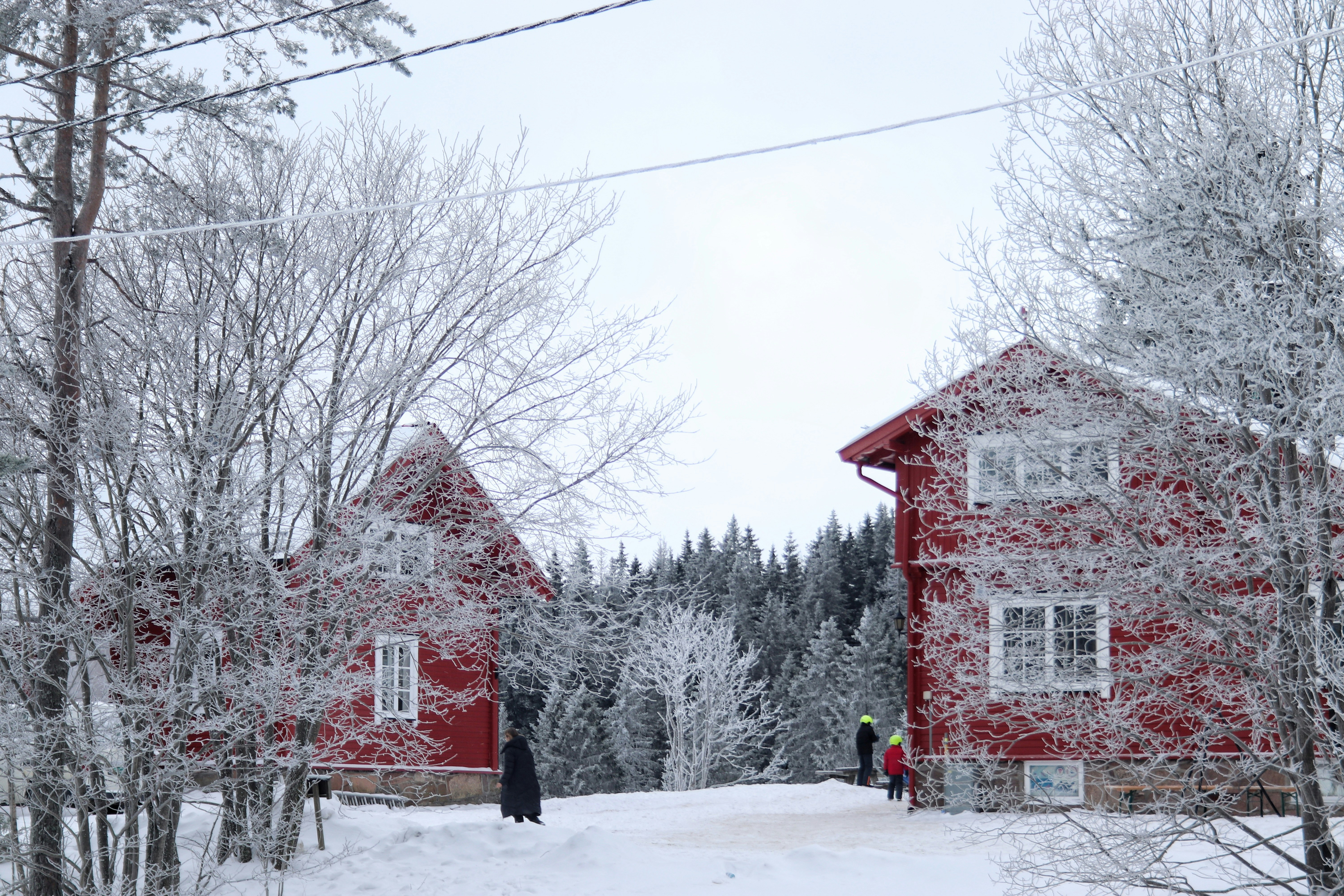 Two red houses in a snowy winter landscape.
