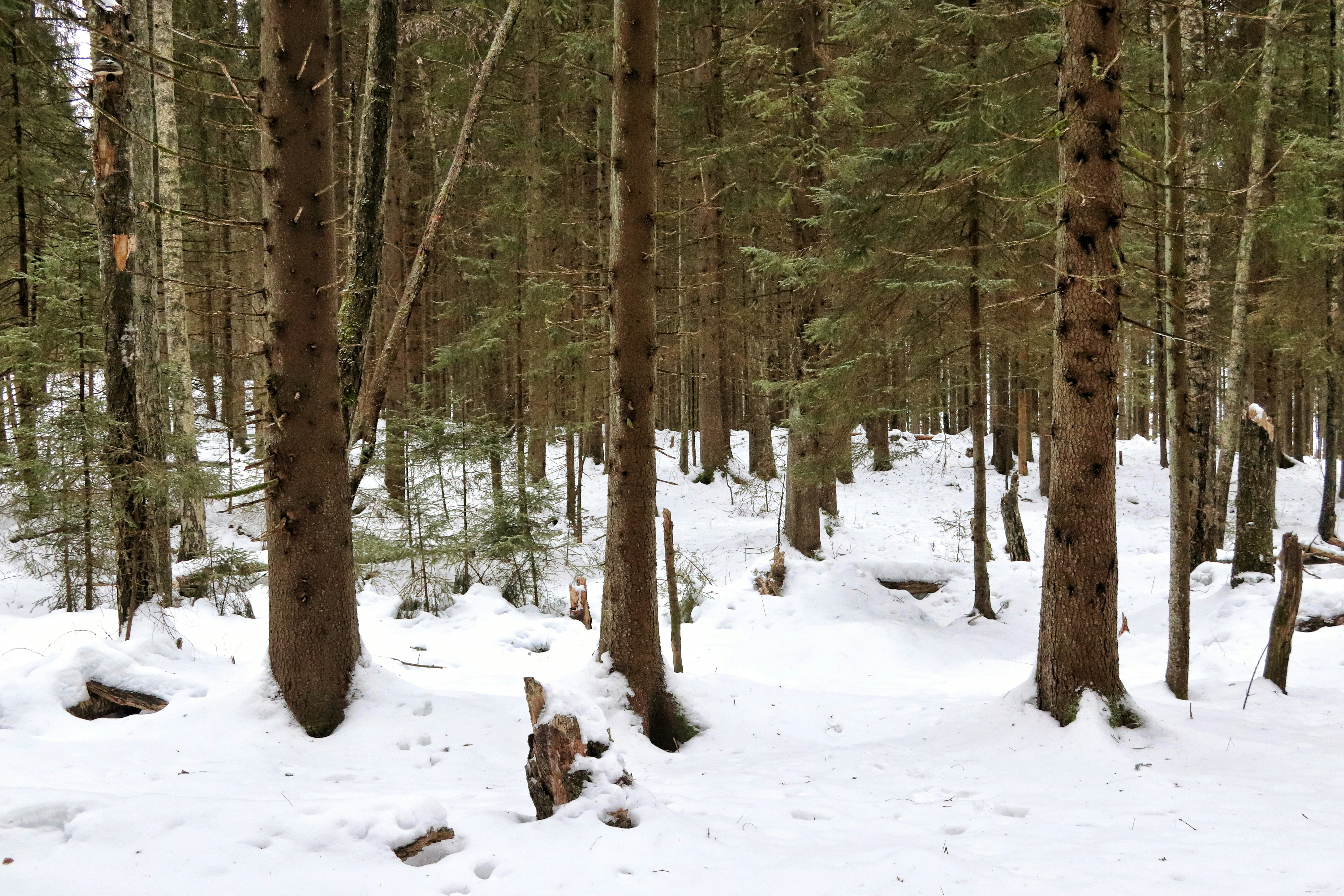 Photo by albacalbeto