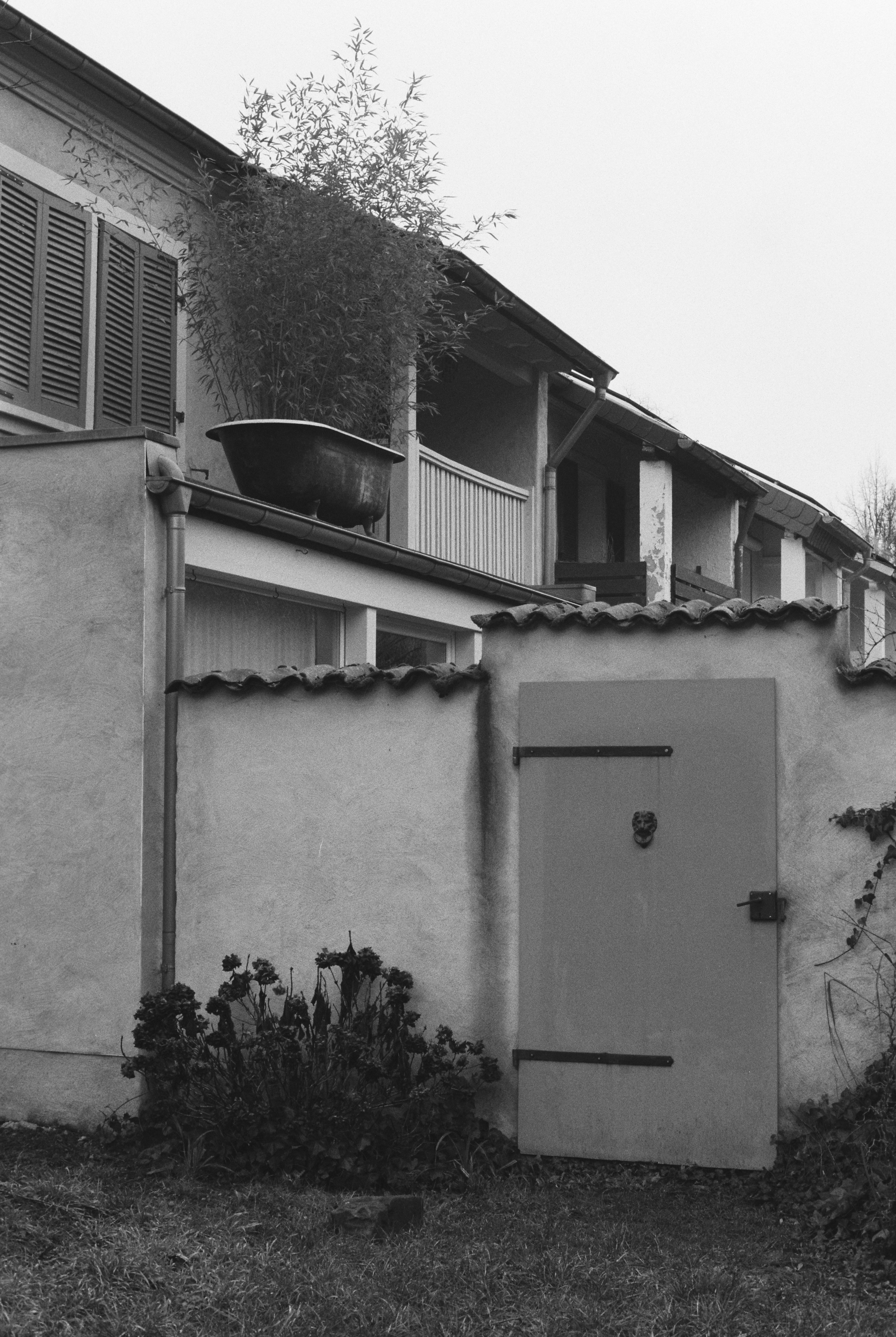 Photo by hypernature